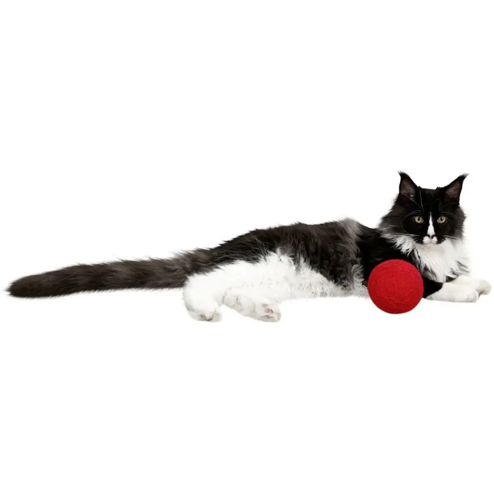 Katzen Wollspielball rot ø 10cm