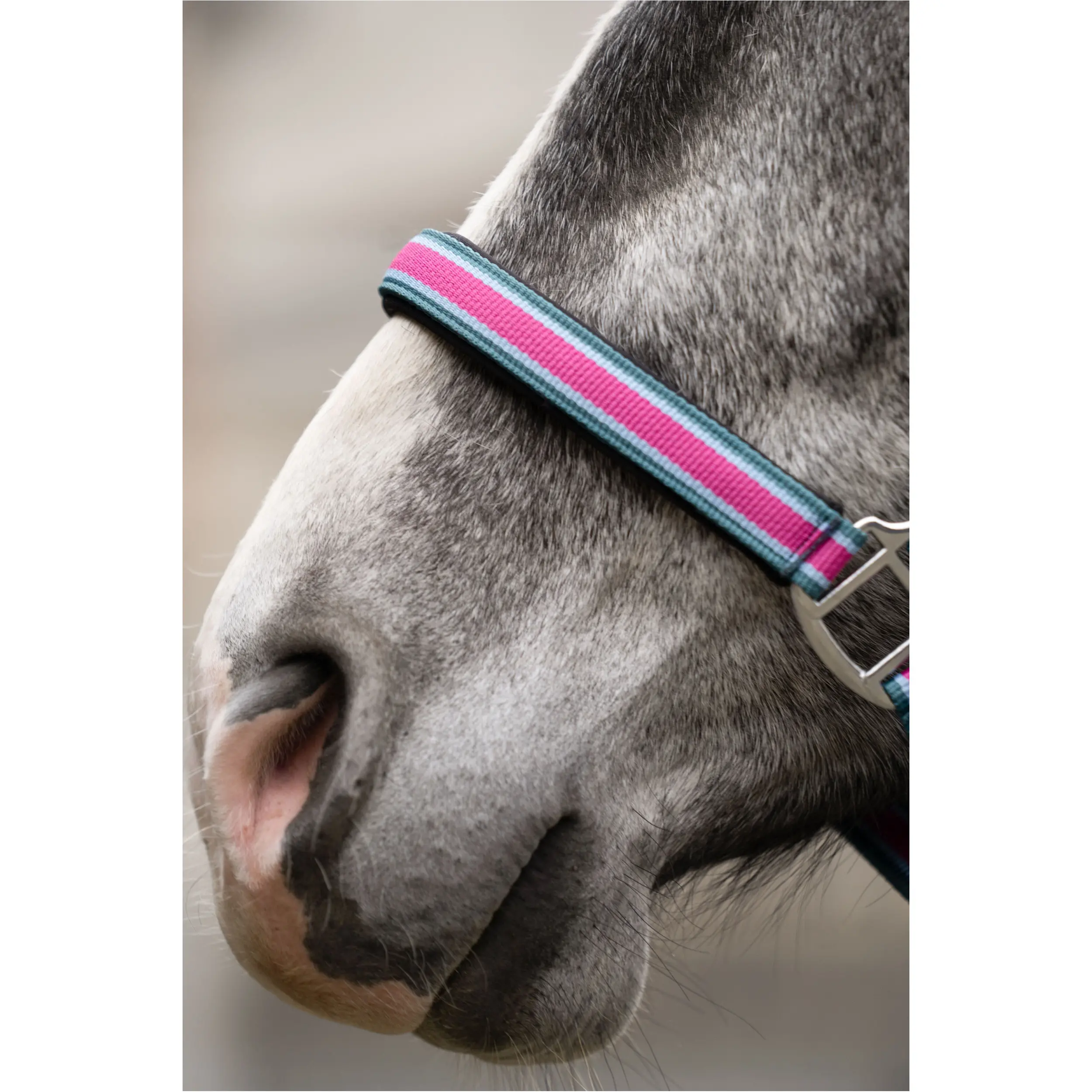 Halfter-Set mit Karabinerhaken MANCHESTER magenta