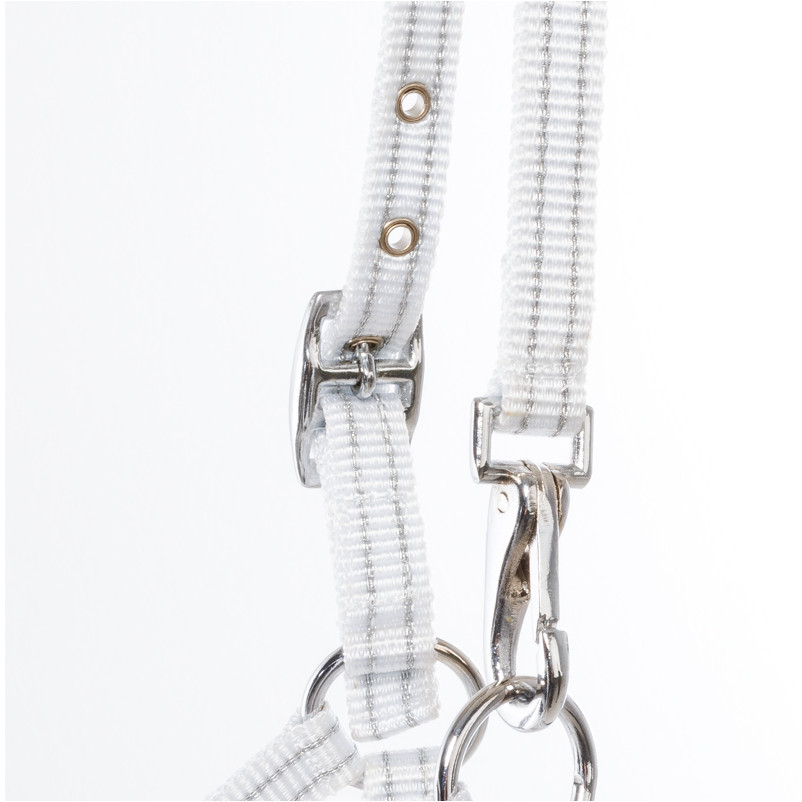 Fohlenhalfter weiß/silber Fohlenhalfter weiß/silber