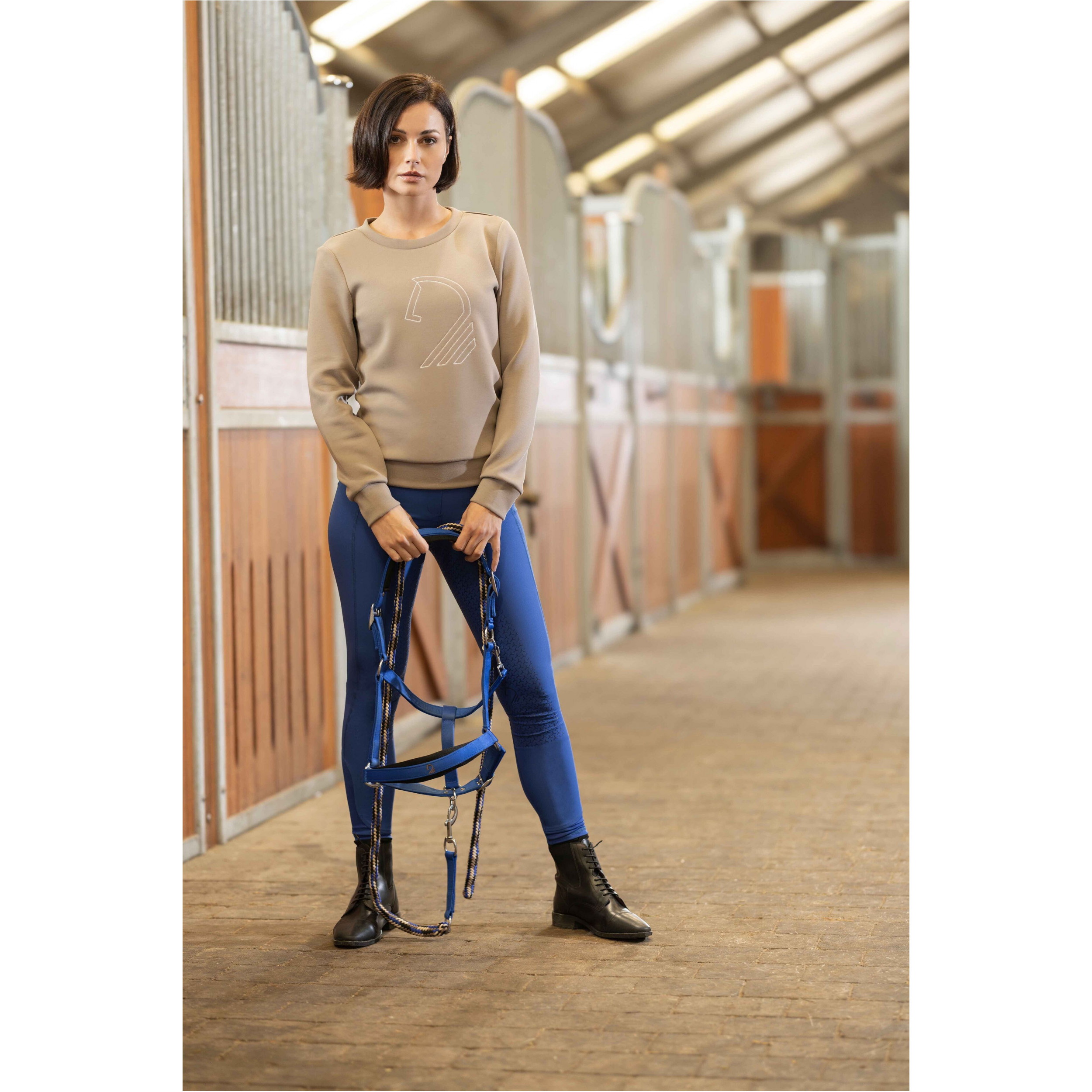 Damen Pullover LIVIGNO HORSE HEAD taupe