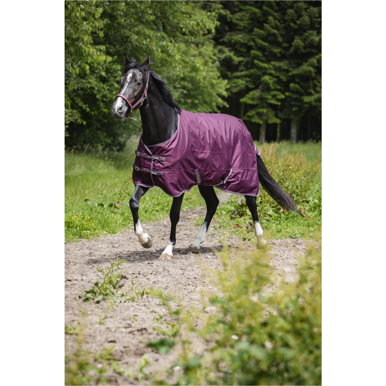 Turnoutdecke 1200D LANDON italian plum