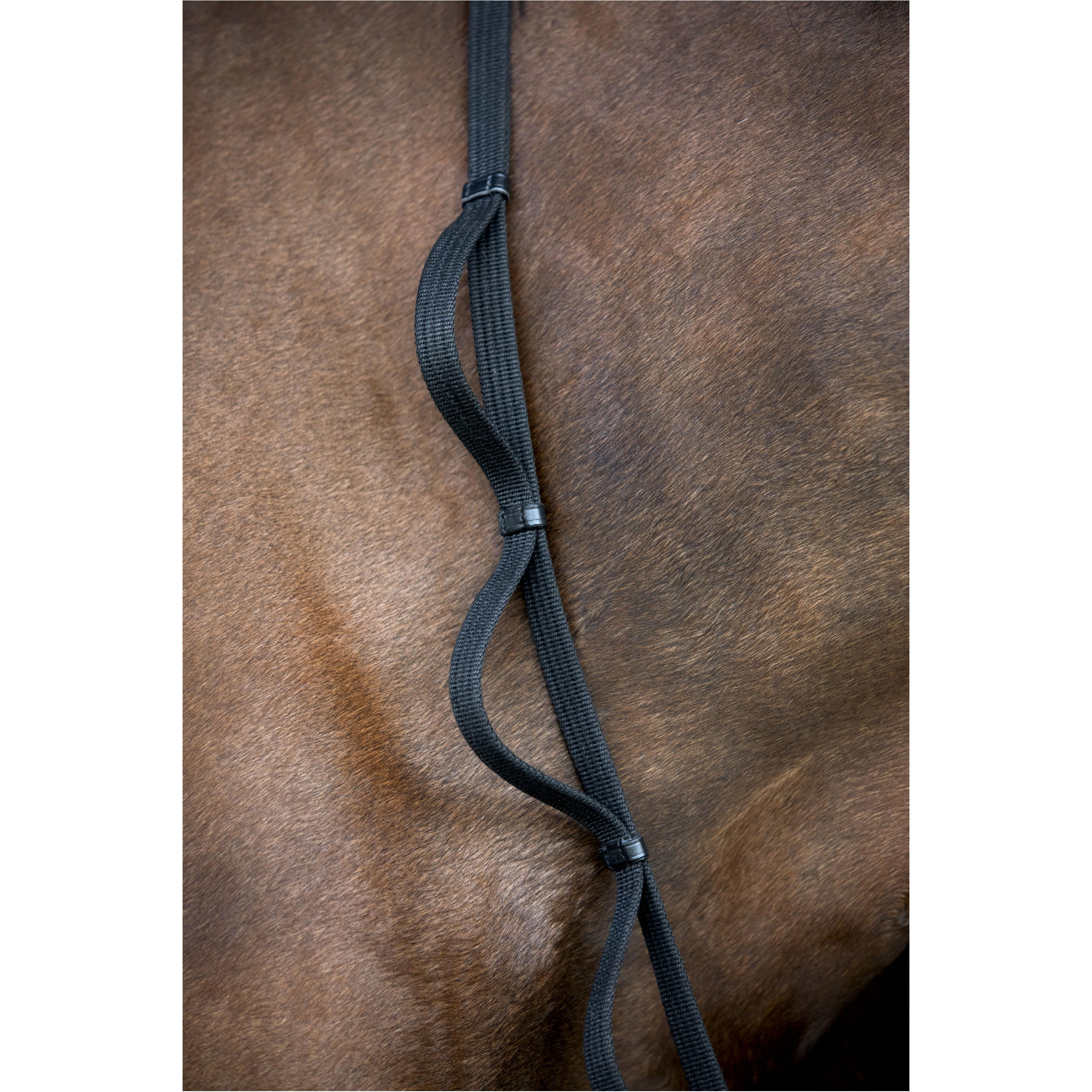 Zügel mit Schlaufen 16mm schwarz