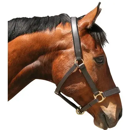 Halfter ECO Leder braun