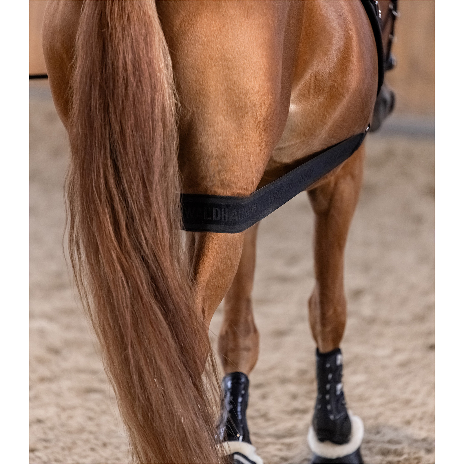 Körperbandage schwarz Vollblut/Warmblut