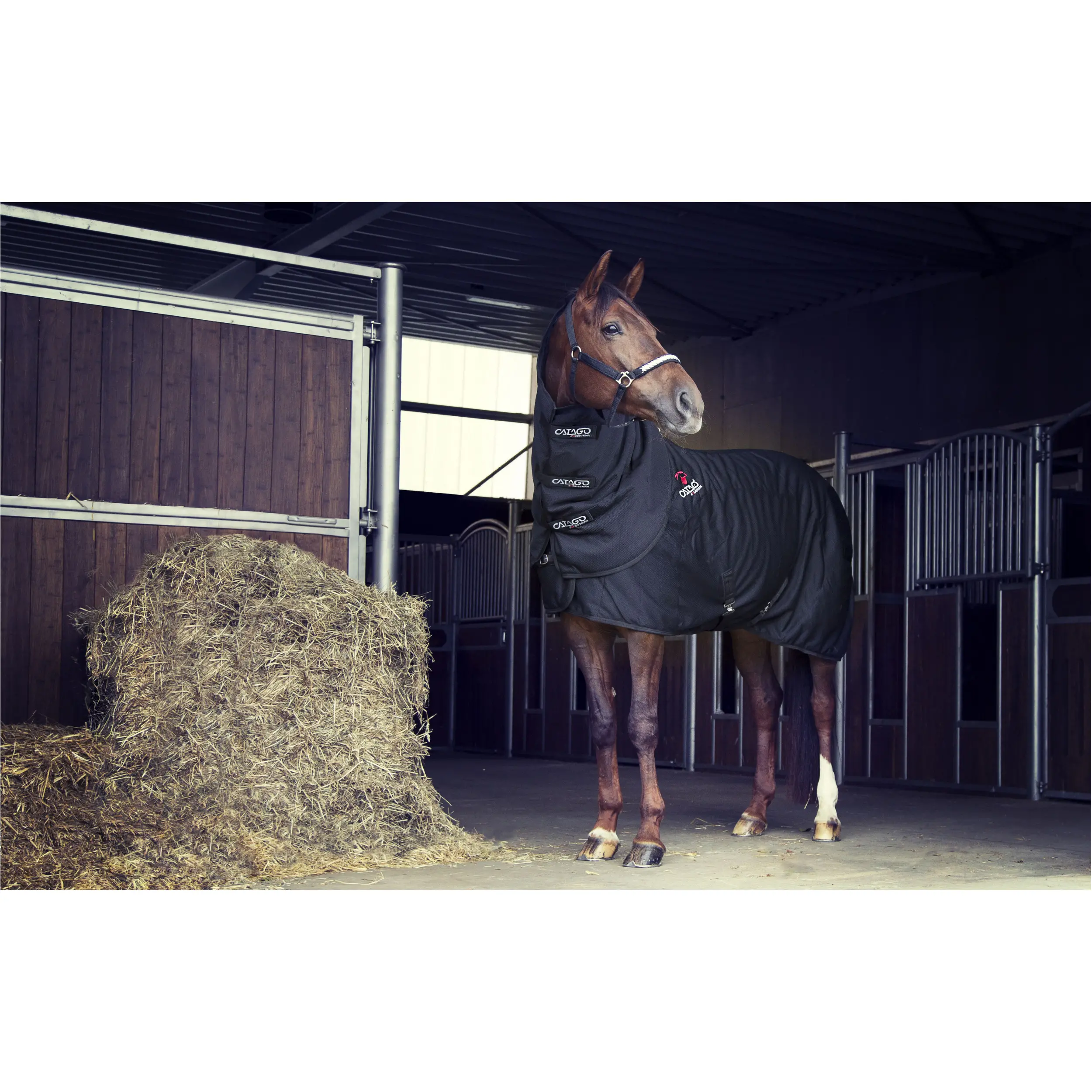 Halsteil FIR-Tech schwarz Halsteil FIR-Tech schwarz