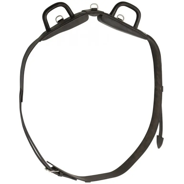 Voltegiergurt mit geschlossenen Handgriffen havana Warmblut