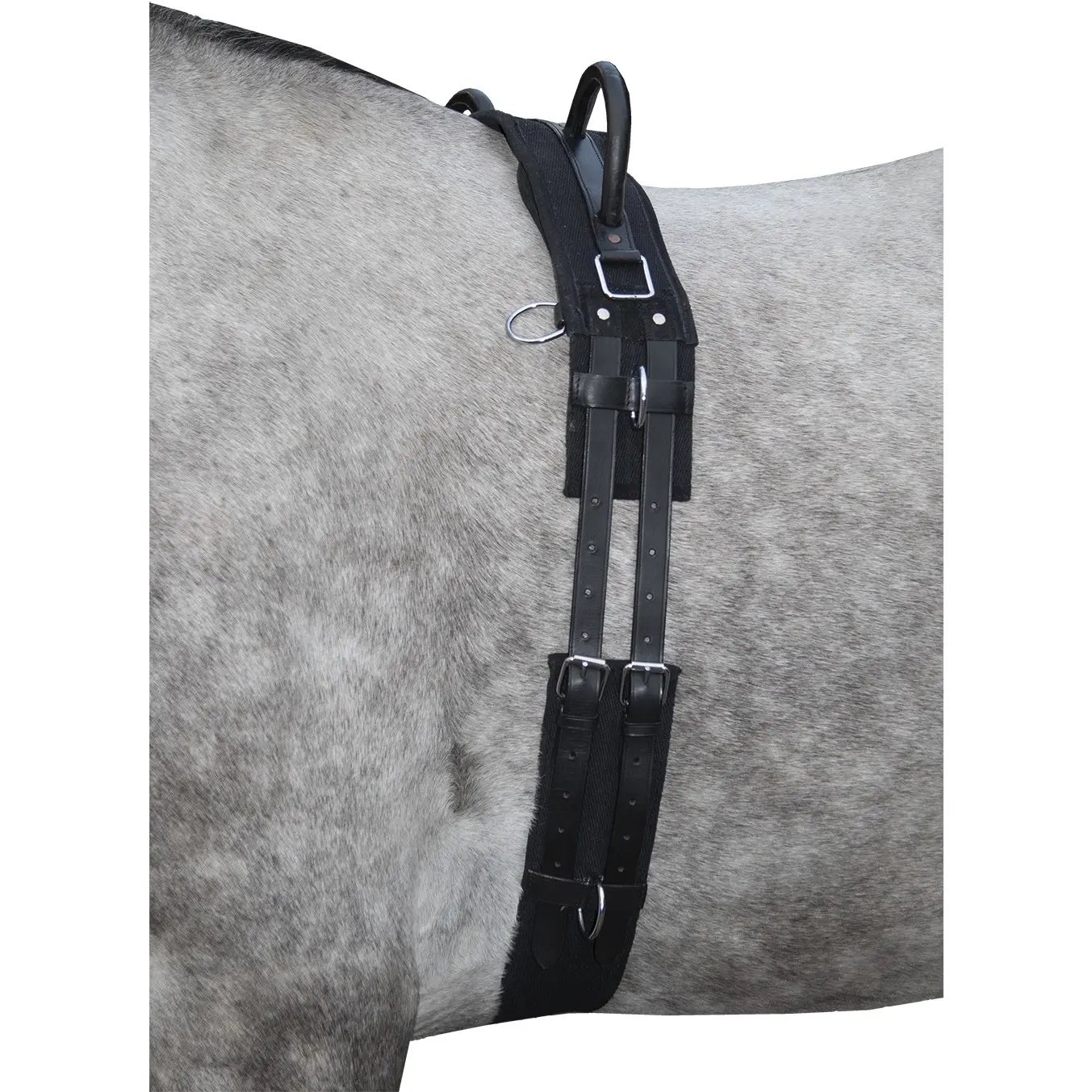 Longiergurt mit Doppelgriff CANVAS schwarz