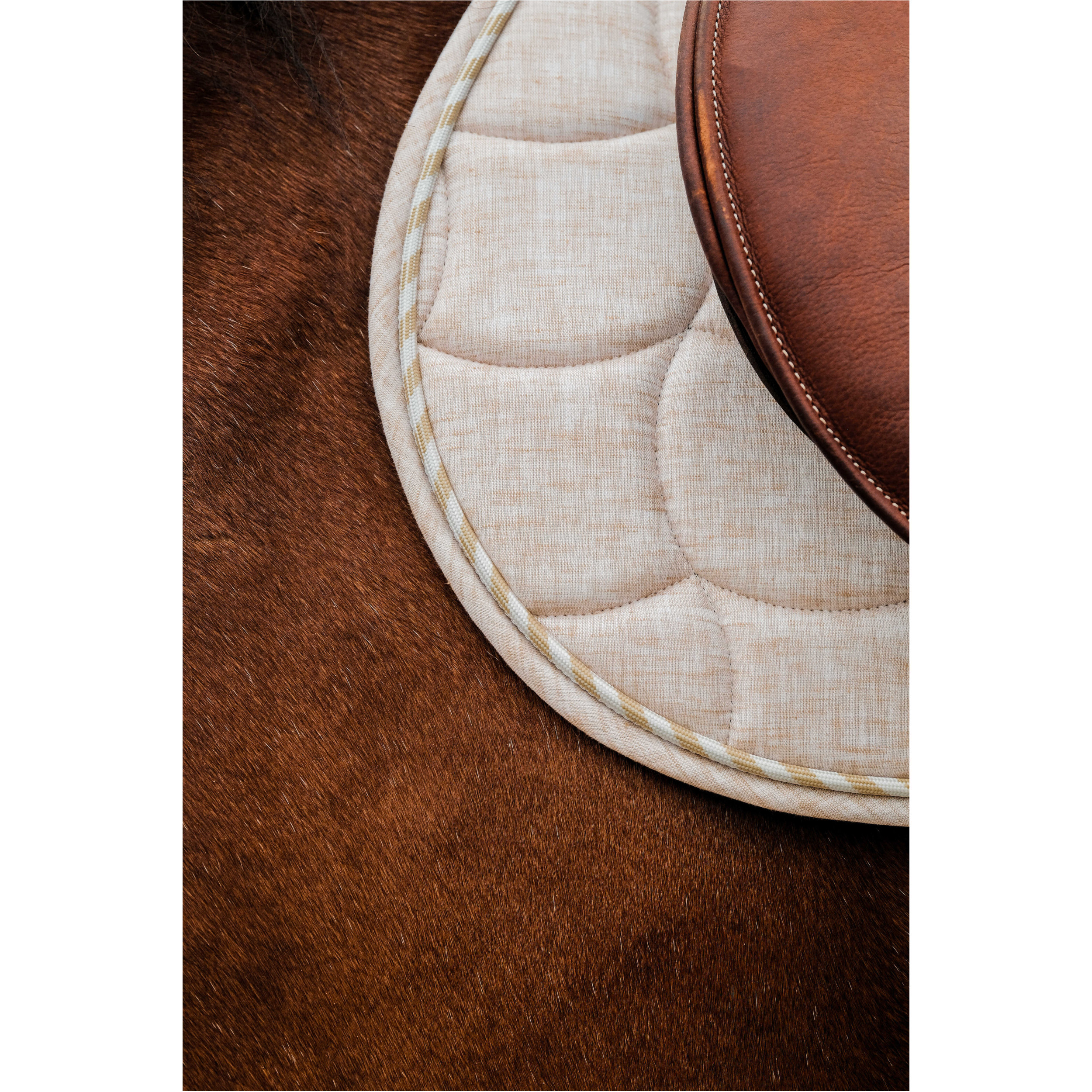 Schabracke SUNSHINE beige Warmblut Vielseitigkeit Schabracke SUNSHINE beige Warmblut Vielseitigkeit
