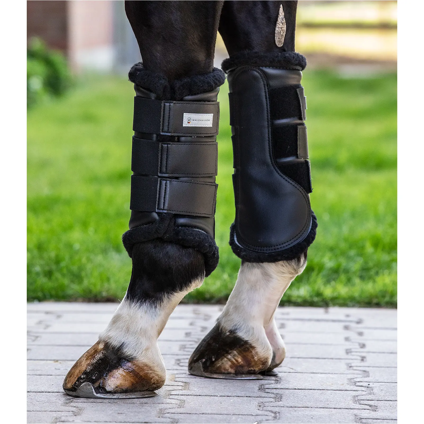 Dressur Gamaschen SOFT schwarz