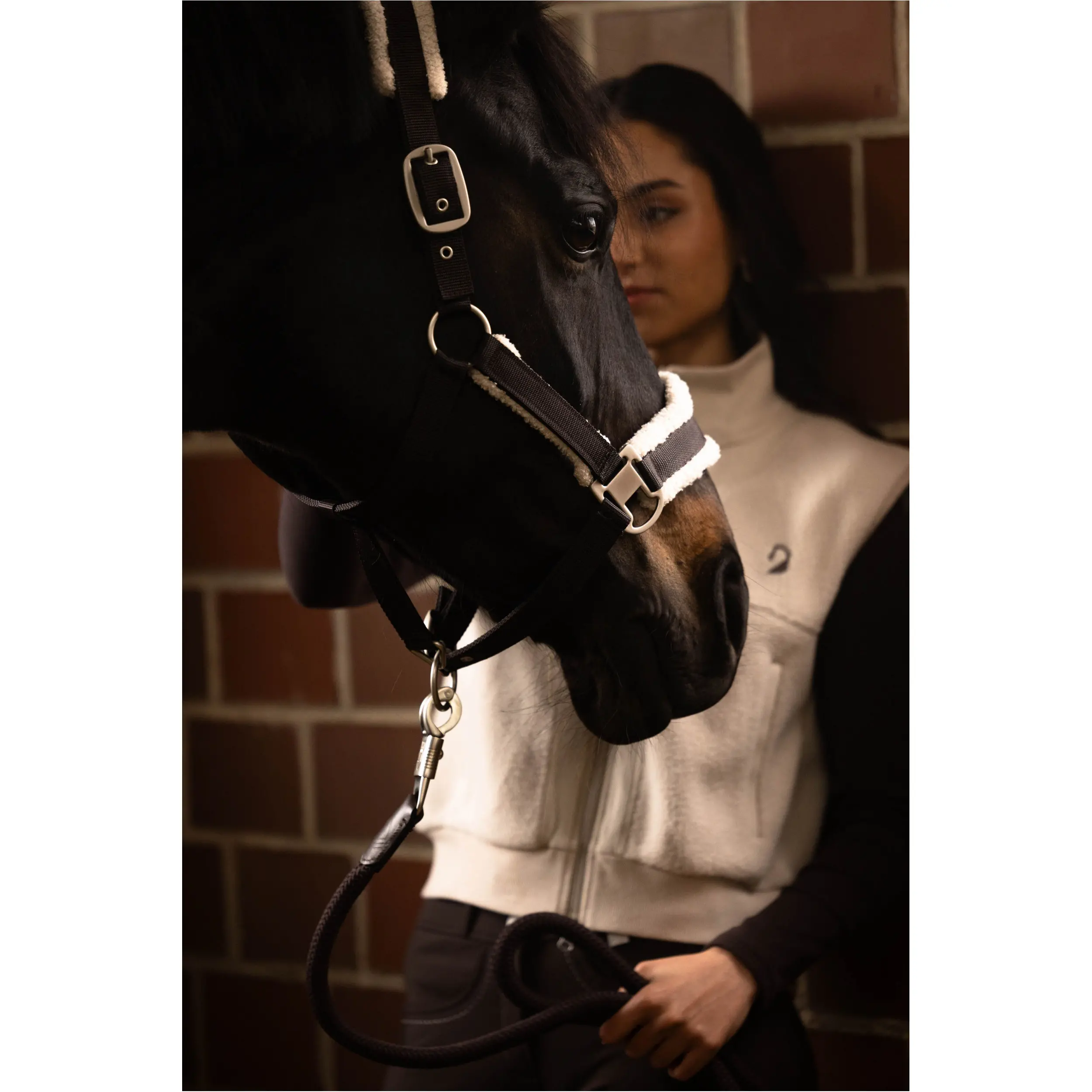 Halfter AREZZO dunkelbraun Halfter AREZZO dunkelbraun