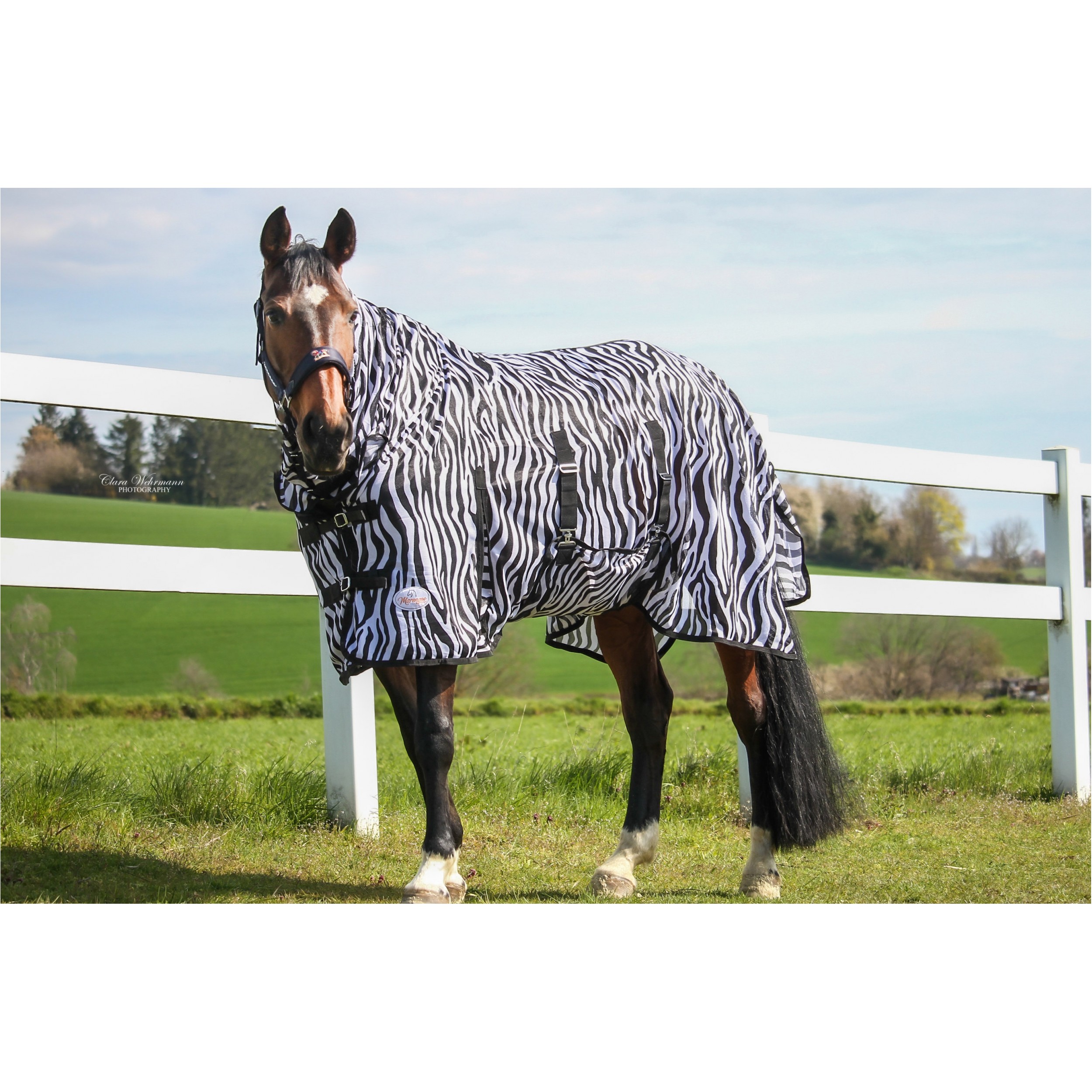 Fliegendecke mit Halsteil und Bauchlatz reißfest ZEBRA schwarz/weiß