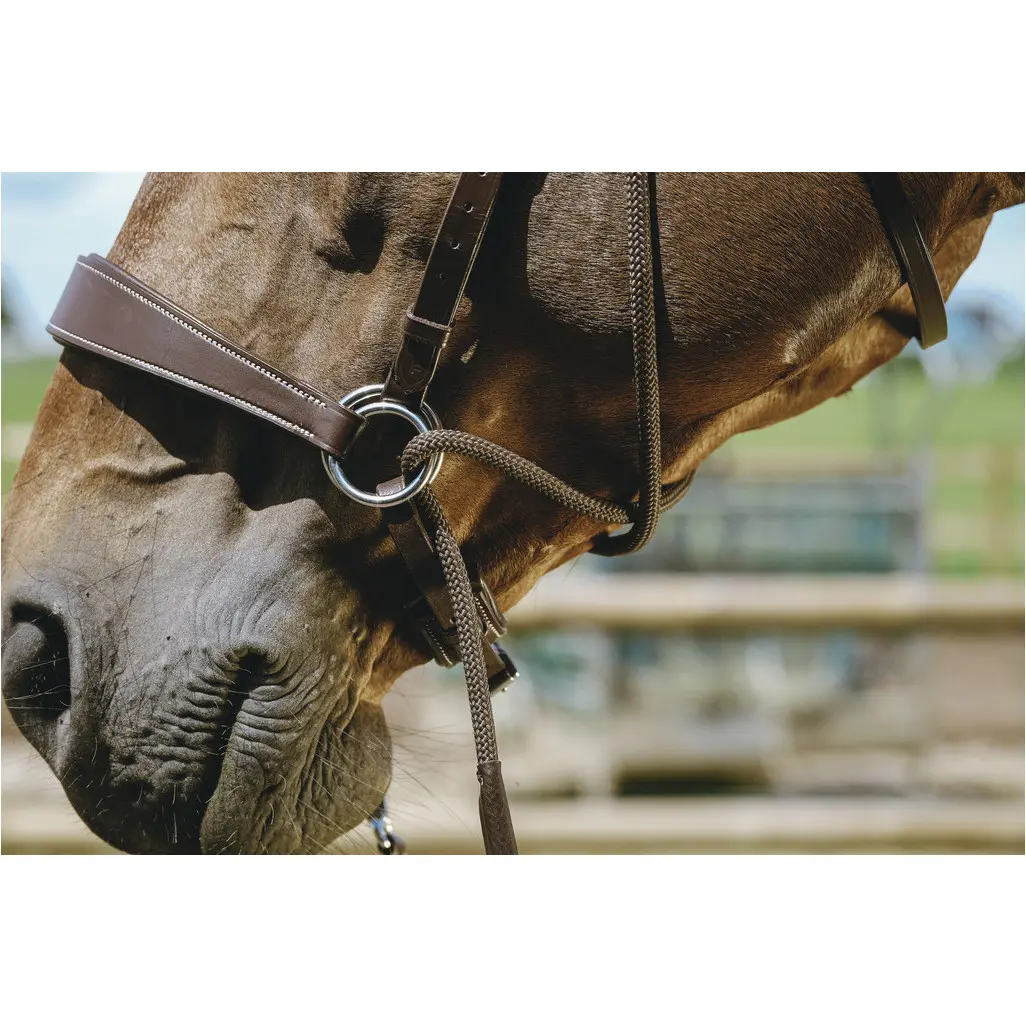 Trensenzaum und Gurtzügel BITLESS Echtleder havana Trensenzaum und Gurtzügel BITLESS Echtleder havana