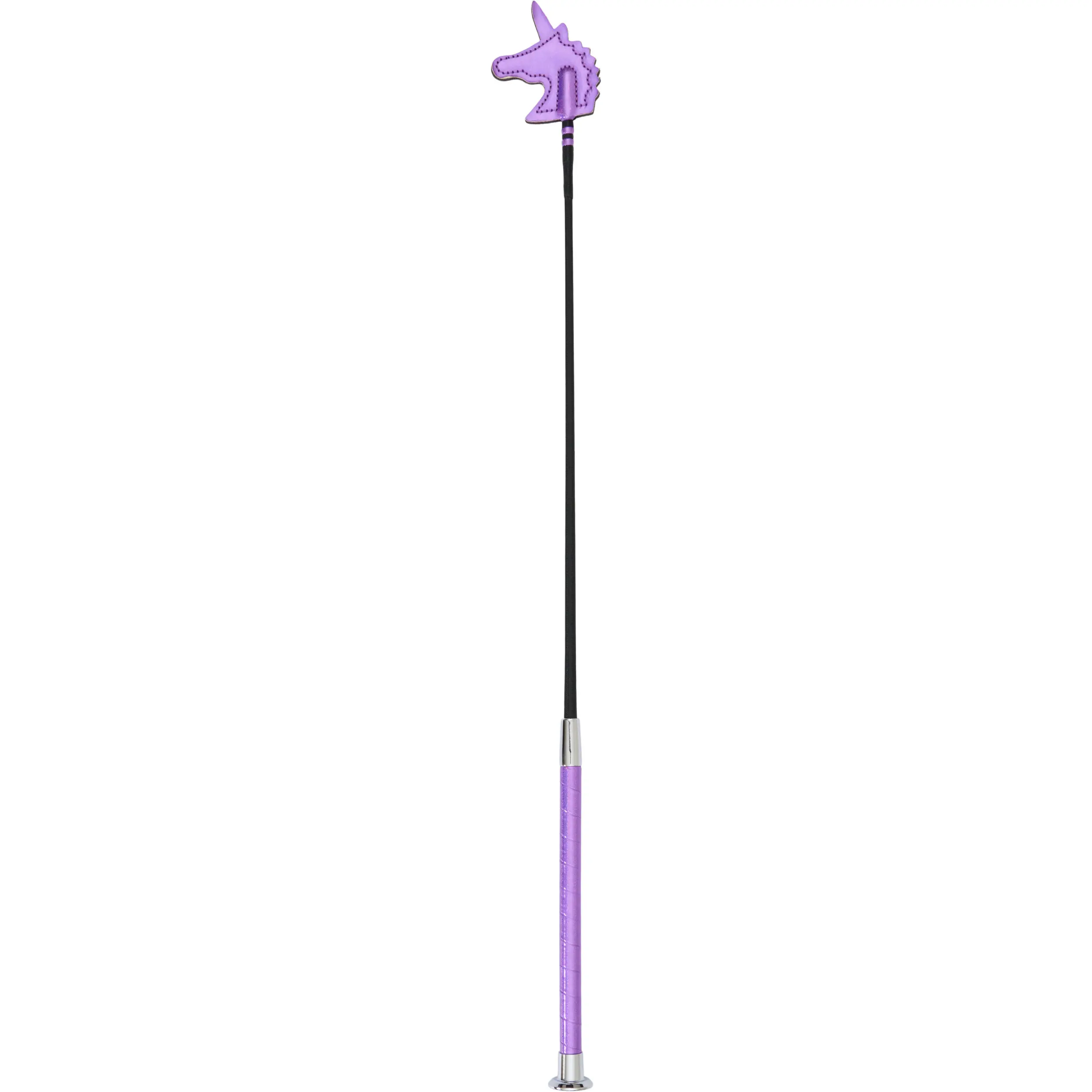 aster purple