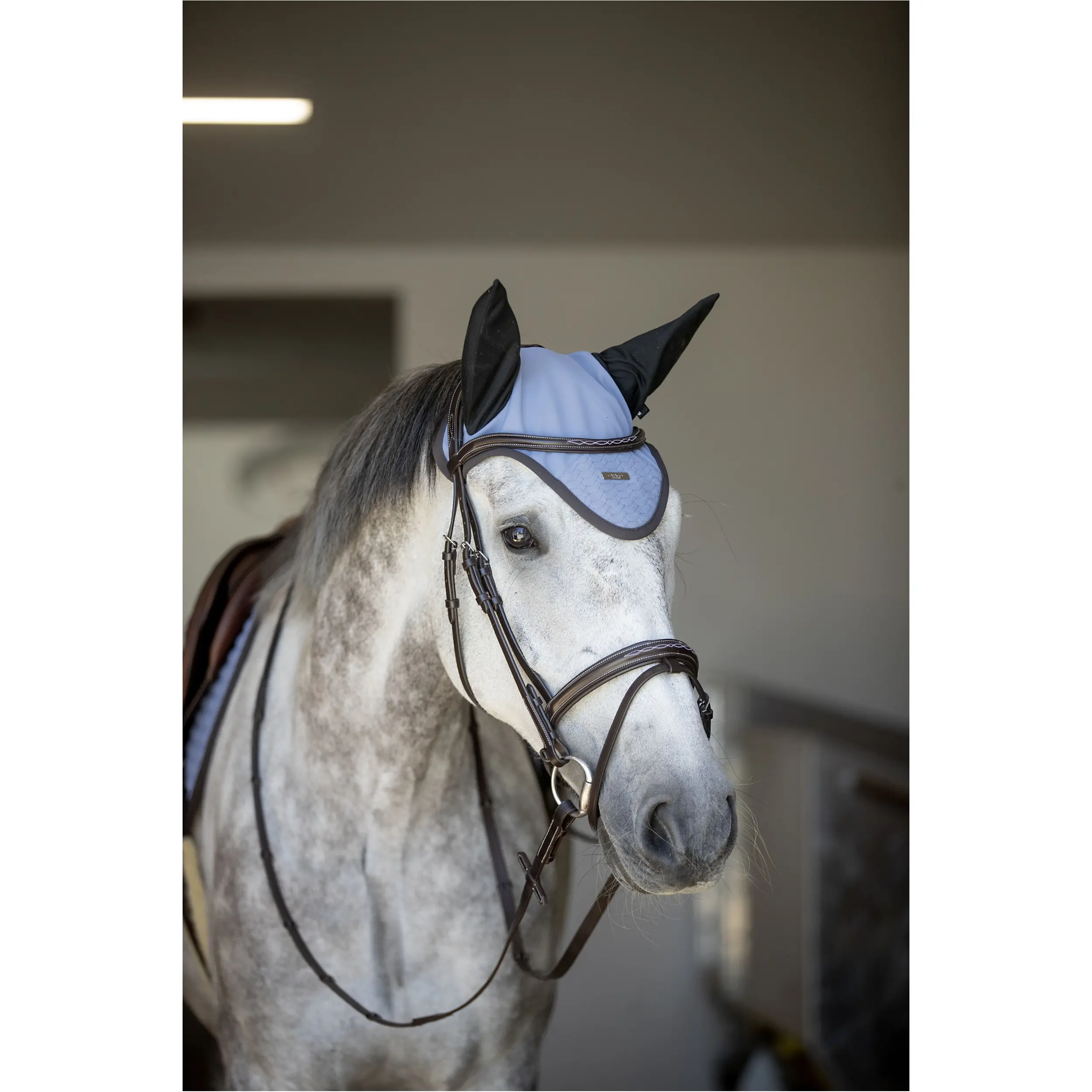 Trensenzaum englisch kombiniert TORINA braun