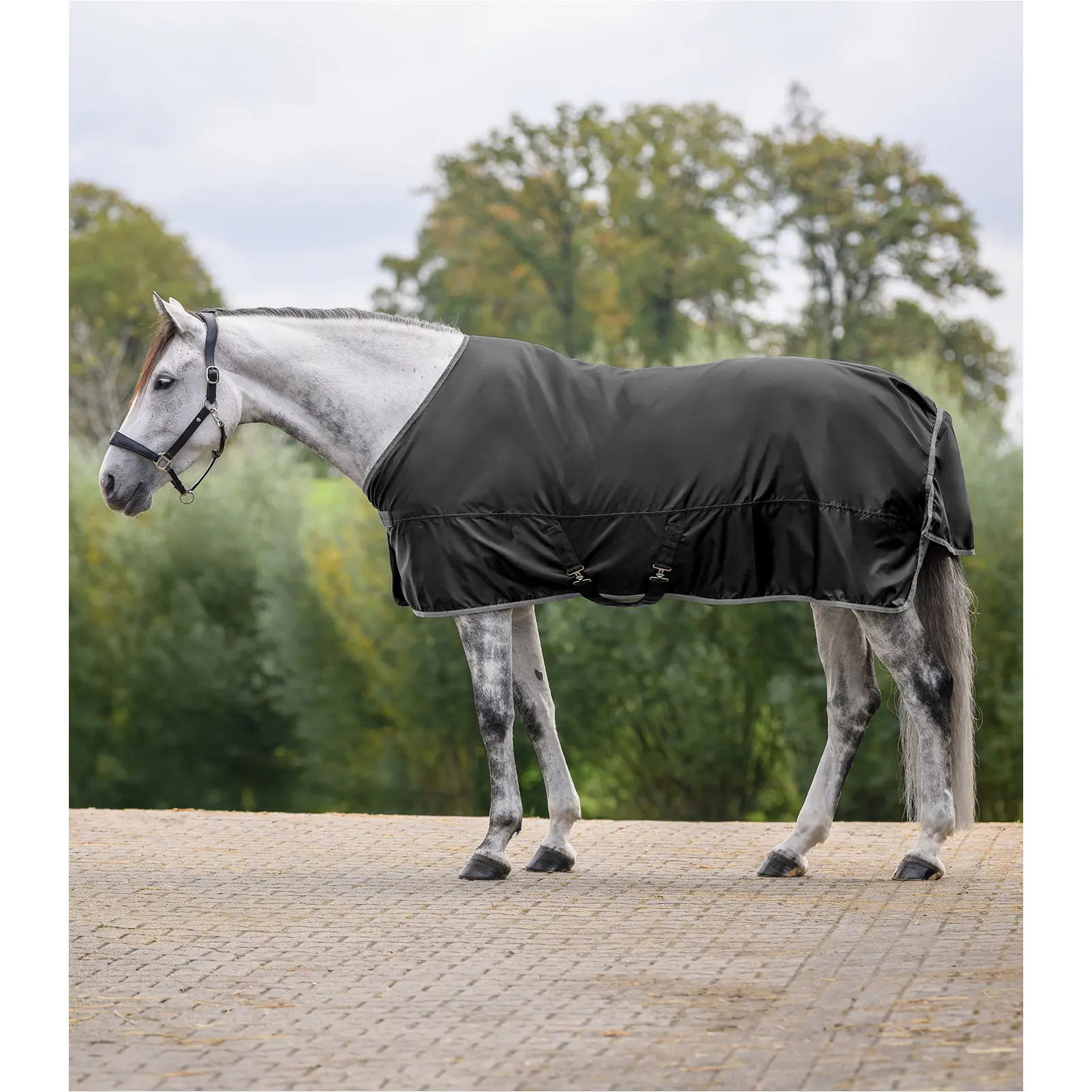 Regendecke 420D ECONOMIC schwarz
