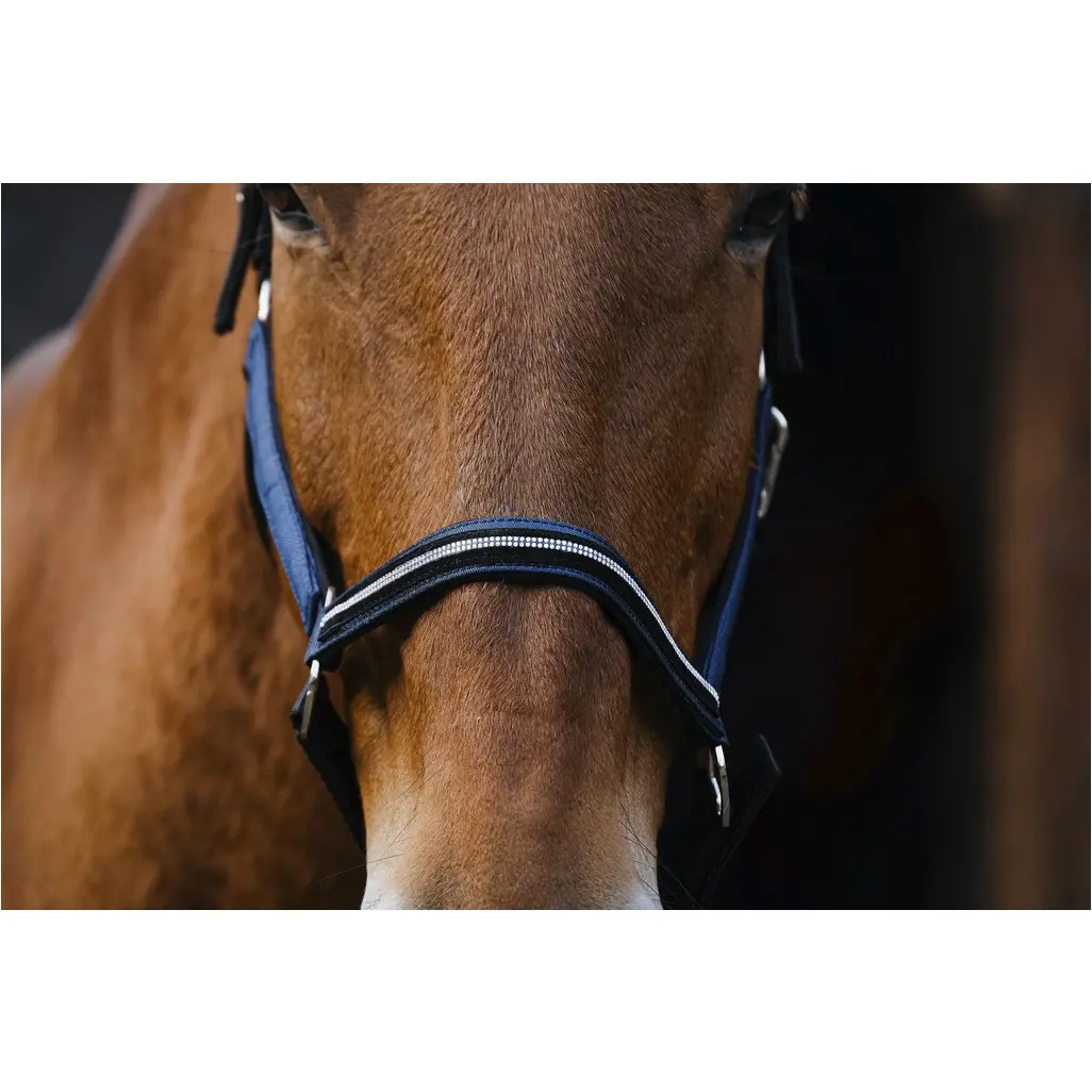 Nylonhalfter mit Strass DOMINO königsblau