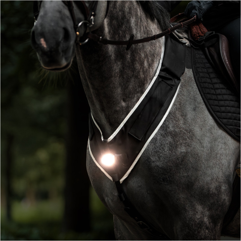 Vorderzeug mit weißer Frontleuchte HORSELIGHT schwarz/grau