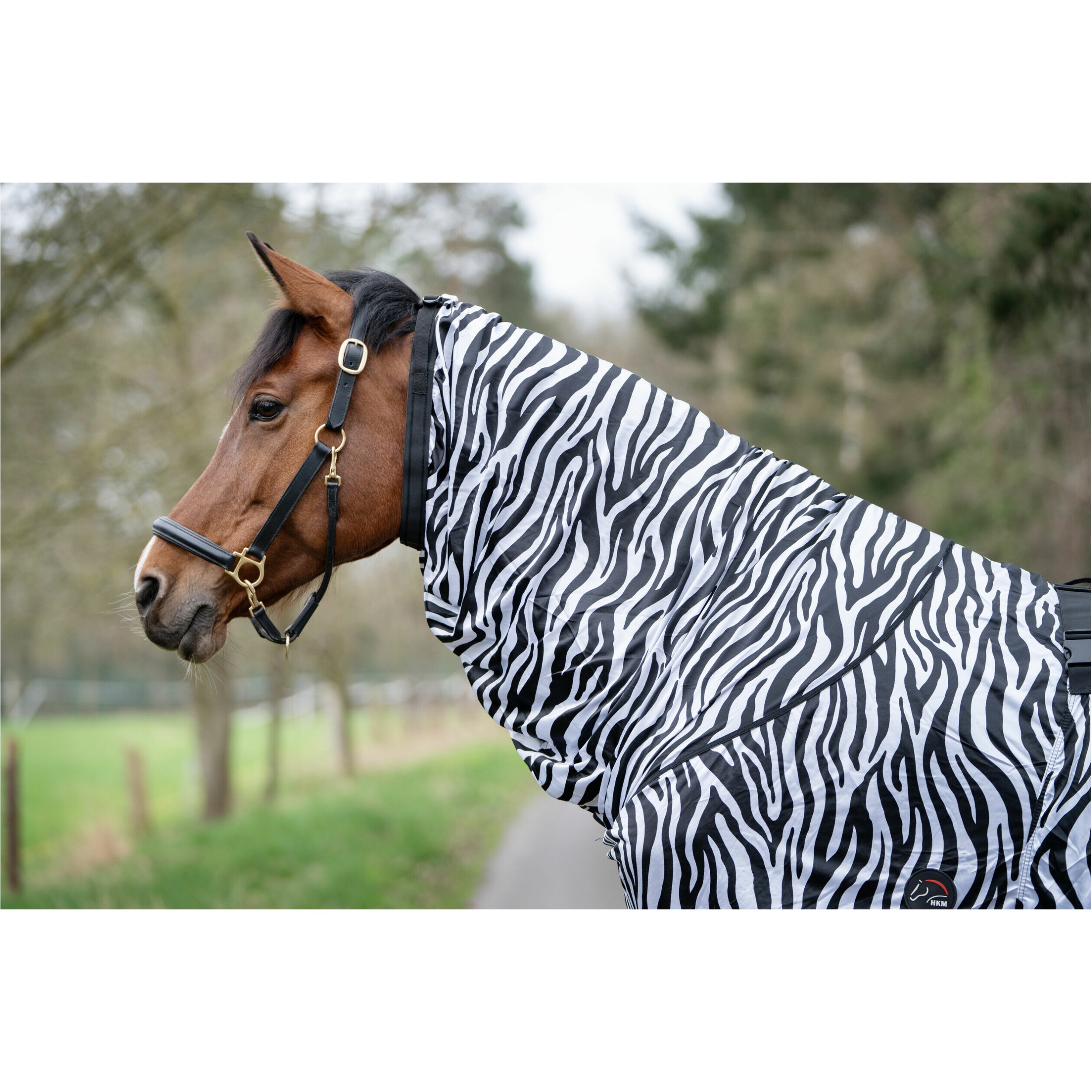 Ekzemerdecke ZEBRA weiß/schwarz