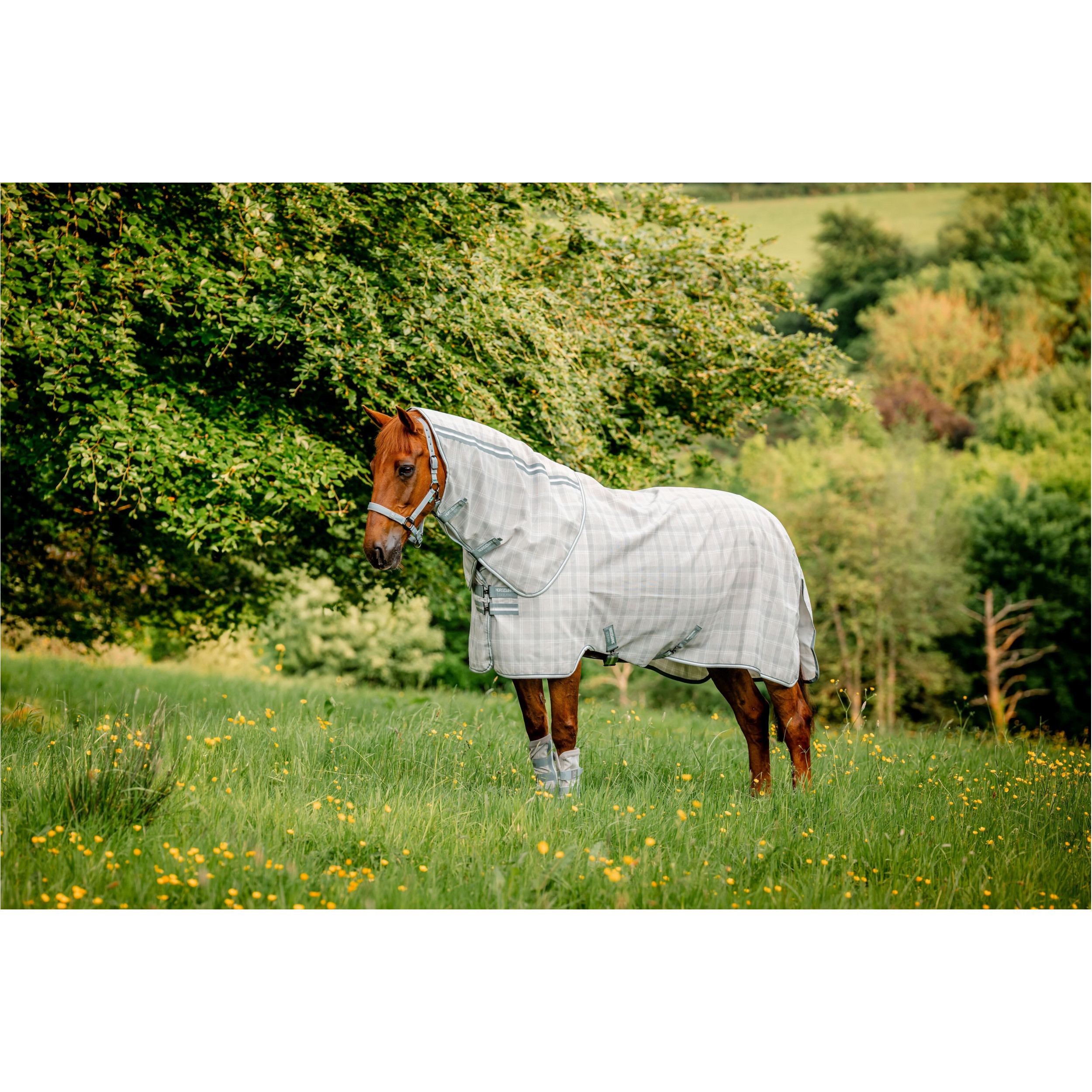 Fliegendecke mit Halsteil (abnehmbar) NEWMARKET Plus Fly Sheet witney charcoal