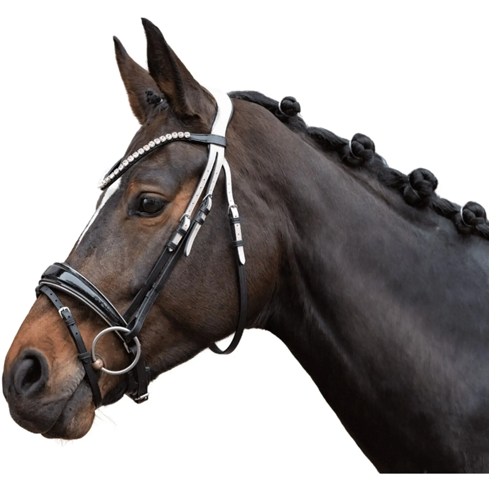Trensenzaum mit schwedischem Reithalfter LIMONE ELEGANT schwarz/beige