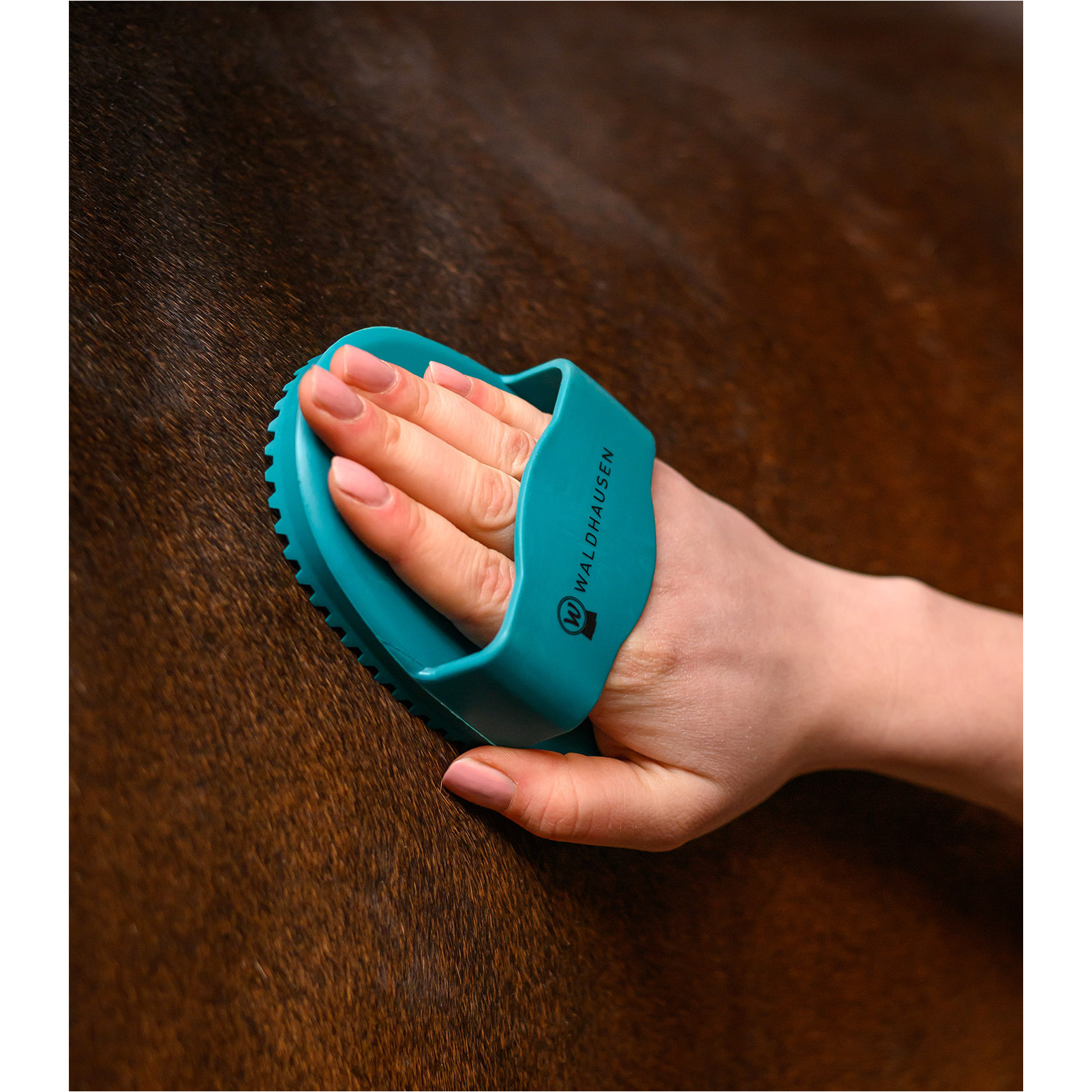 Striegel RAINBOW petrolblau