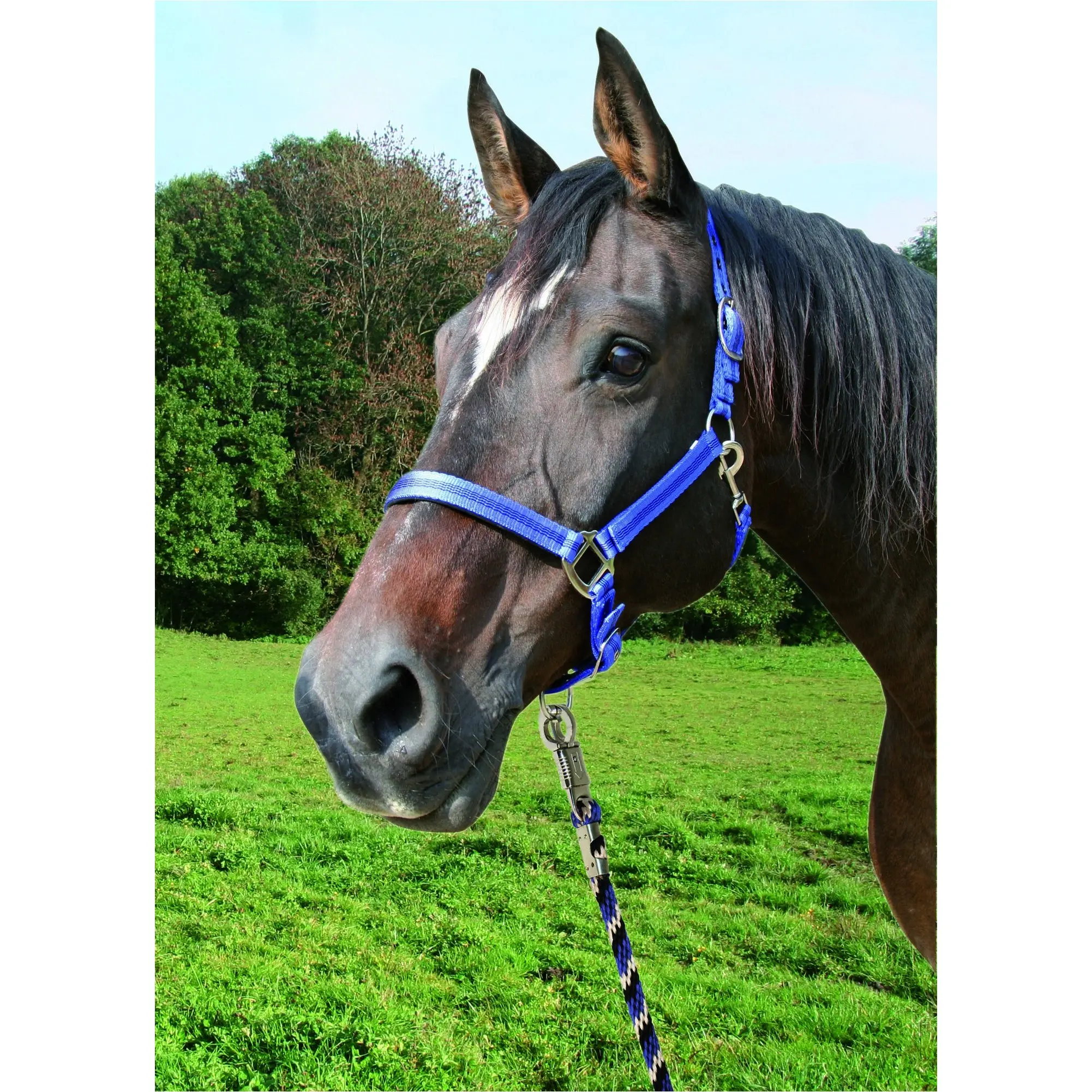 Führstrick mit Panikhaken MUSTANG royalblau/schwarz/weiß 200cm