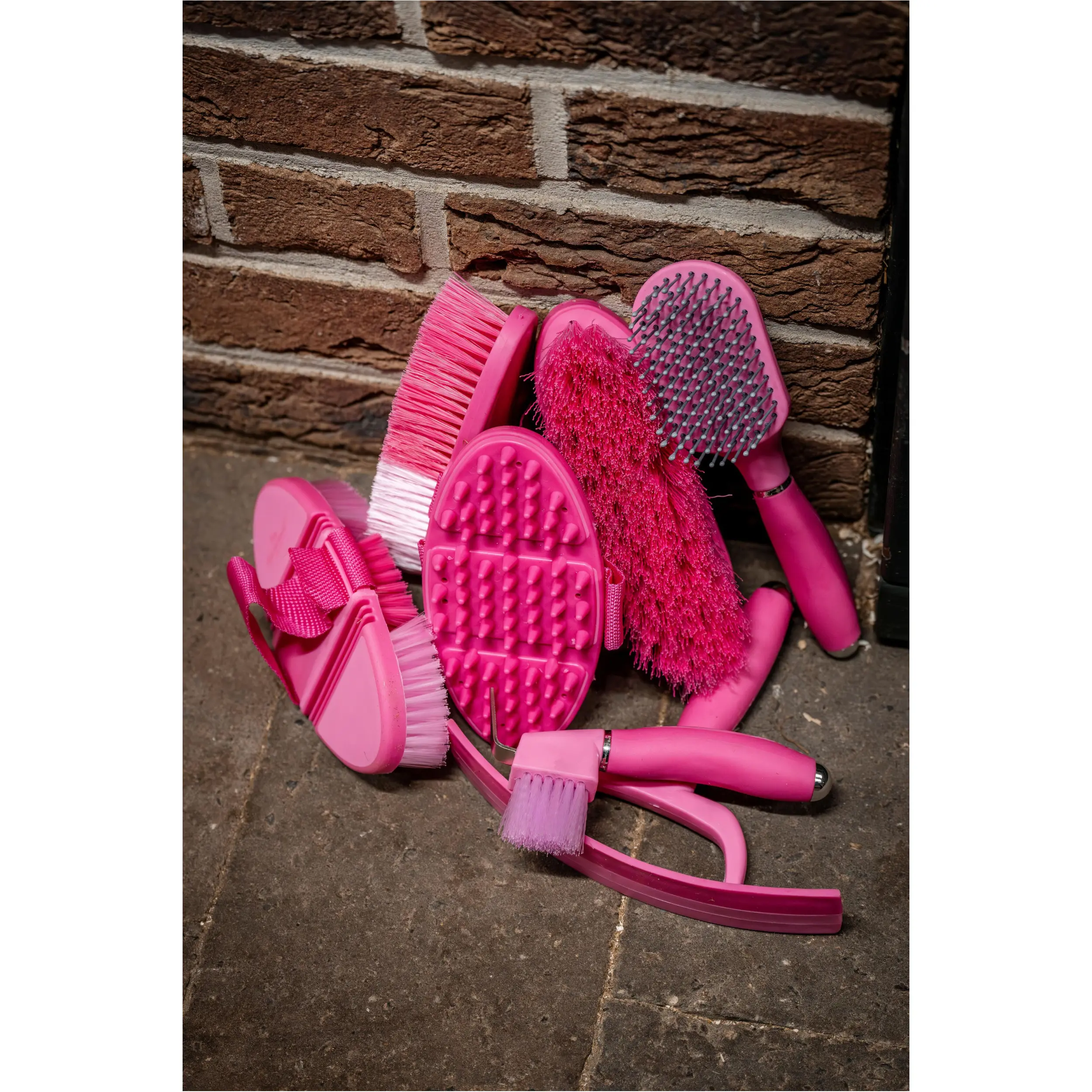 Pferdepflegeset NEWMARKET witney pink