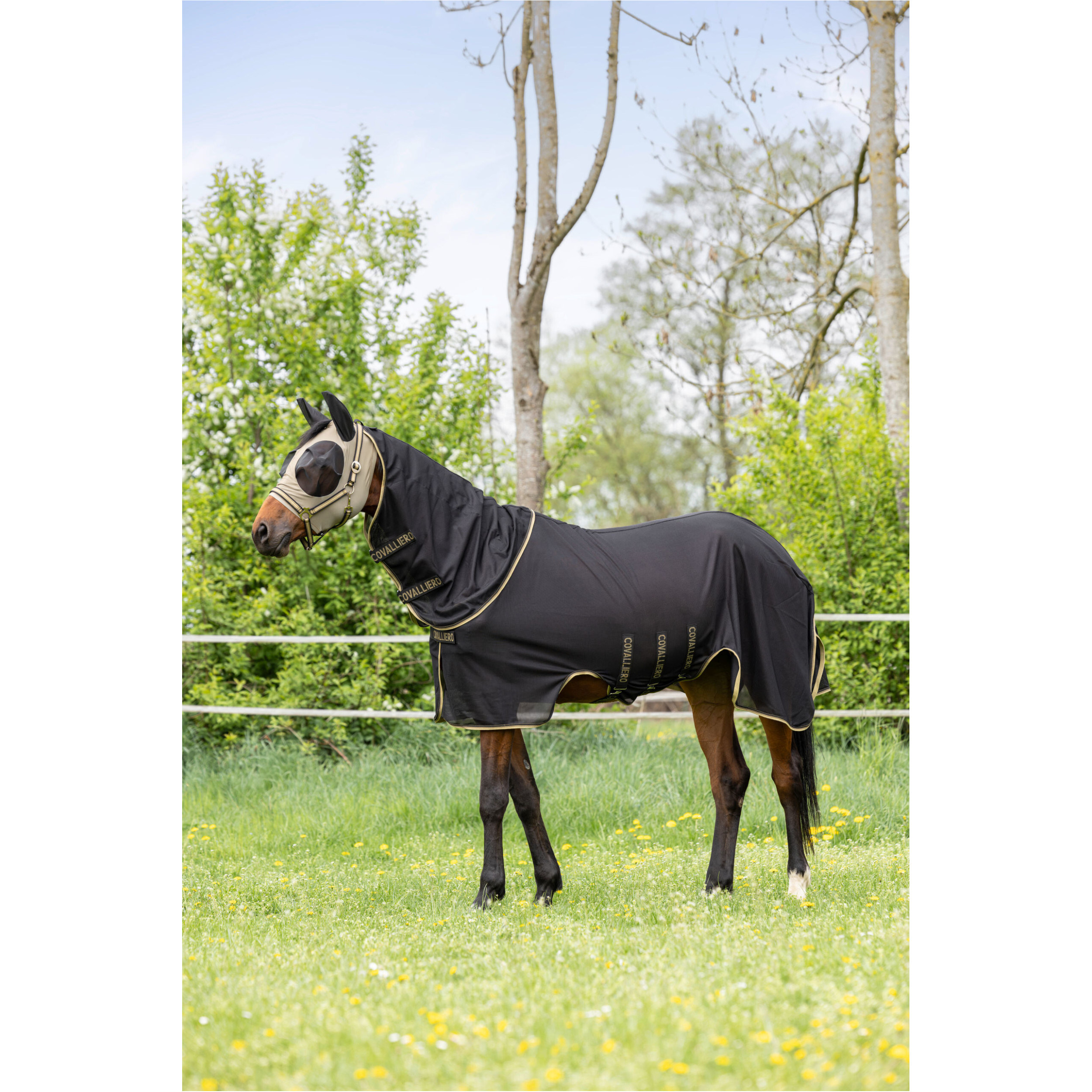 Fliegendecke mit Halsteil (abnehmbar) F/S 2026 black