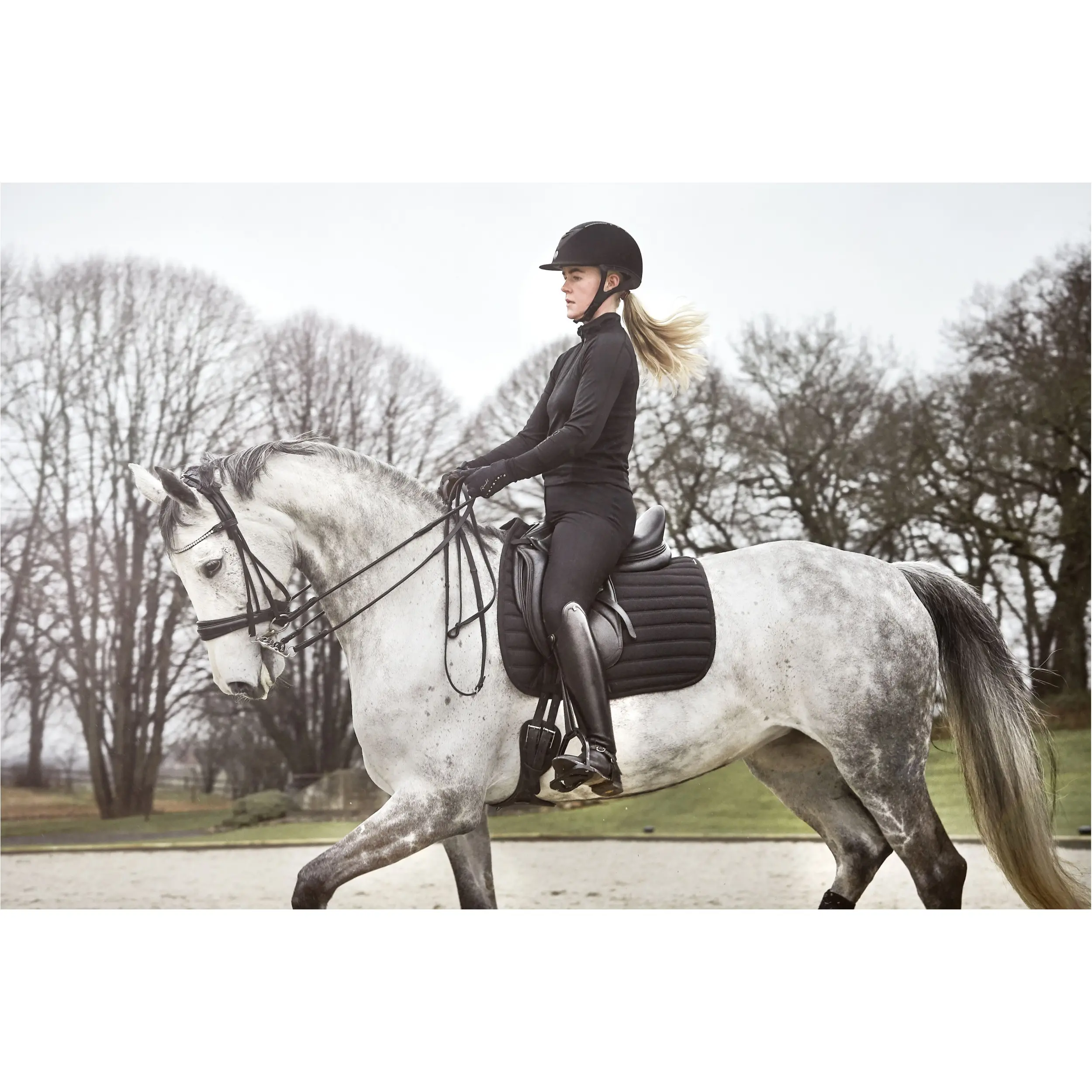 Kandarenzaum rund genäht SANTO Echtleder schwarz