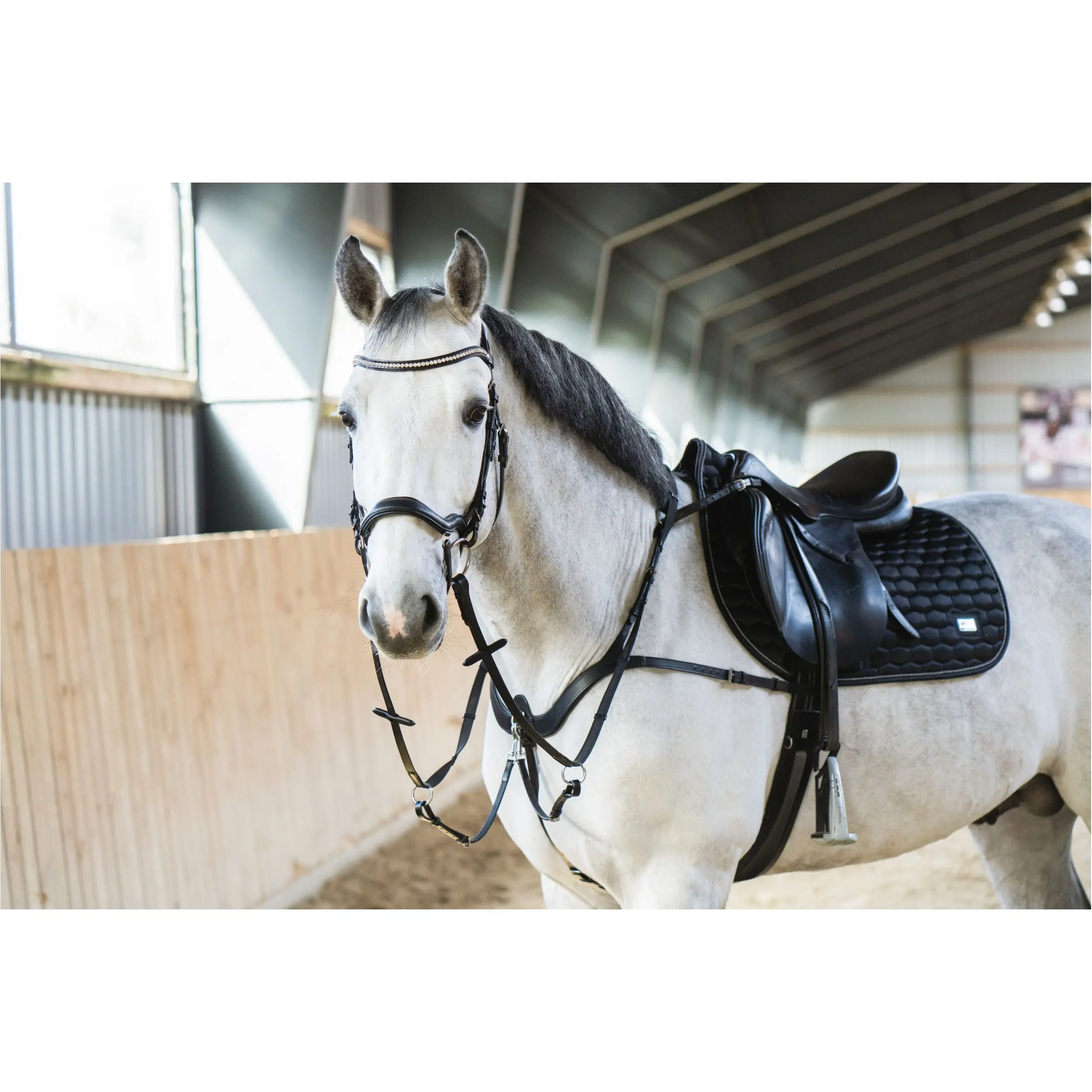 Schabracke KORA schwarz Schabracke KORA schwarz