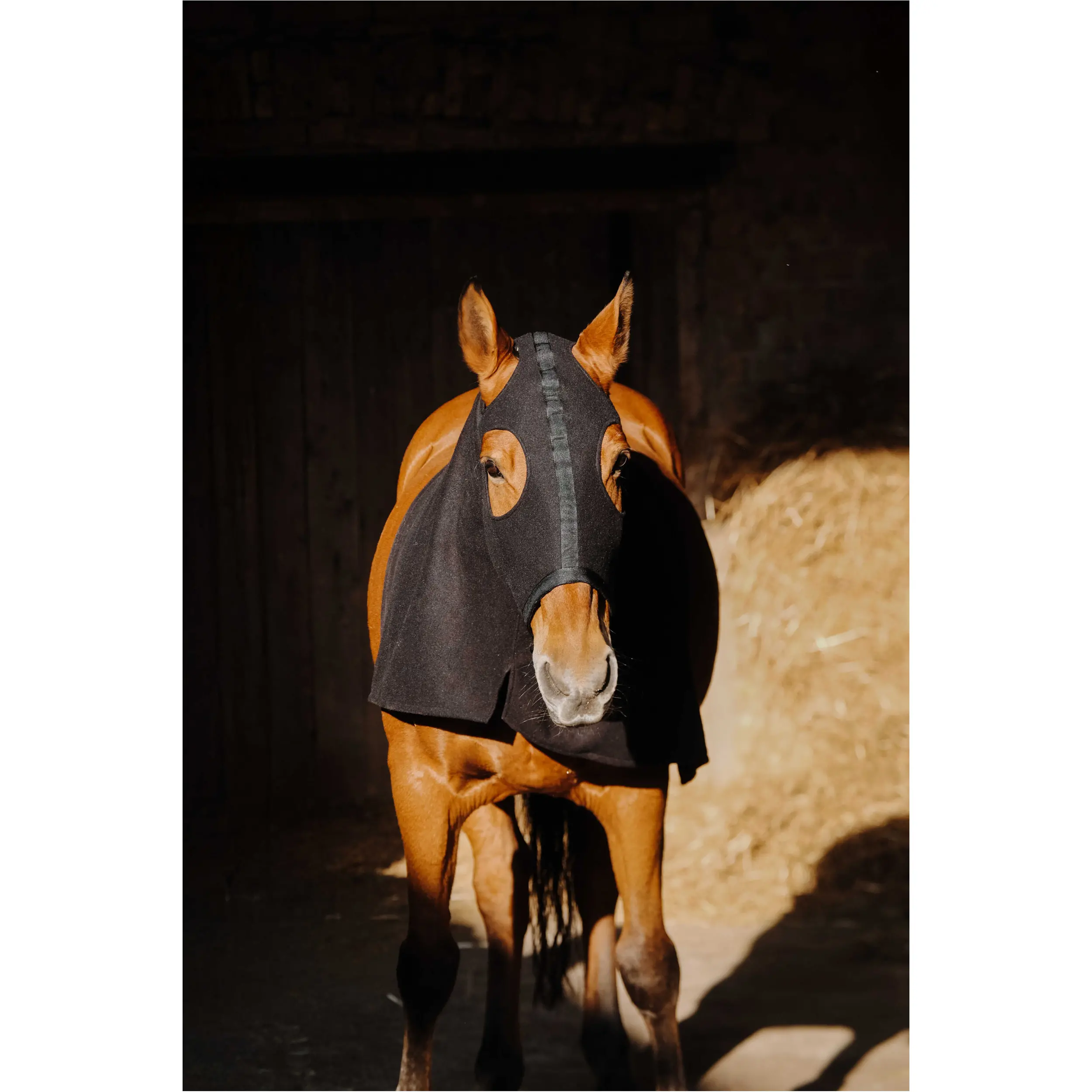 Halsschutz Fleece schwarz