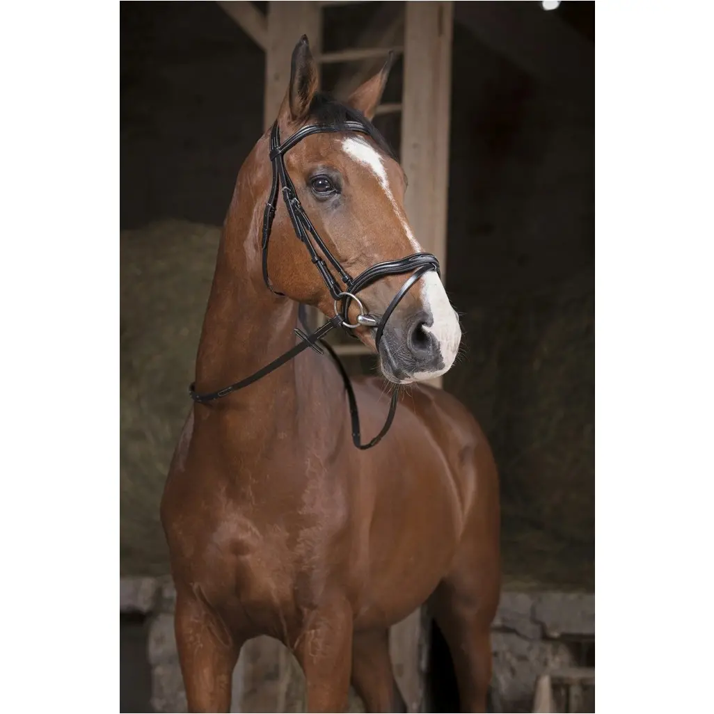 Zügel SUPERGRIP schwarz Warmblut