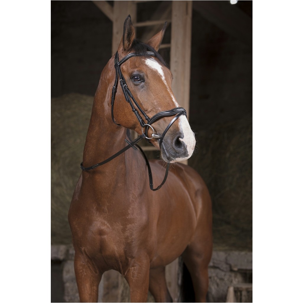 Zügel SUPERGRIP schwarz Warmblut