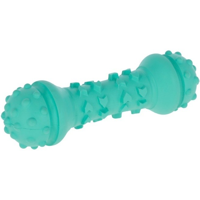 Hantel TOYFASTIC türkis 15x5cm