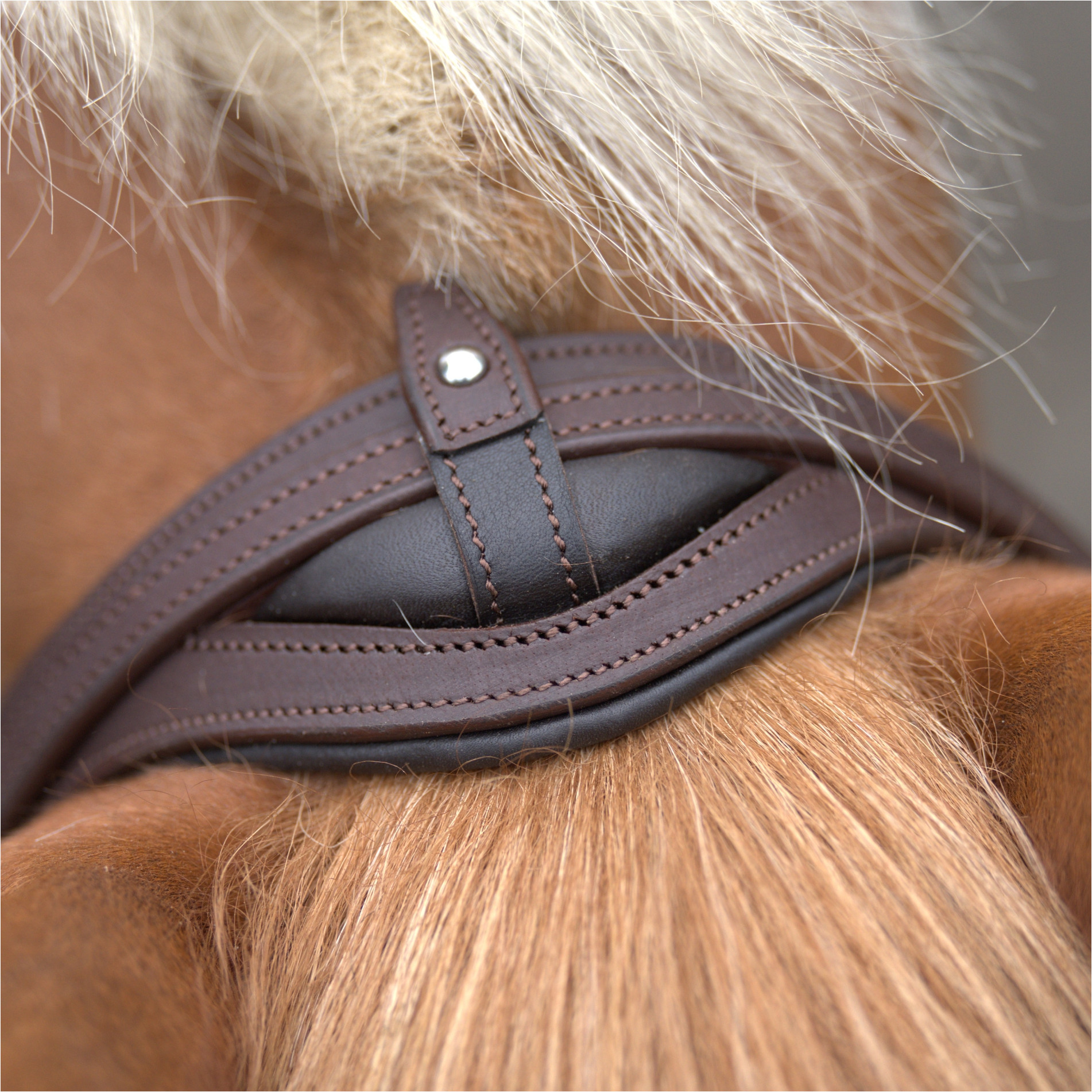 Wanderreitzaum ARTEMIS braun