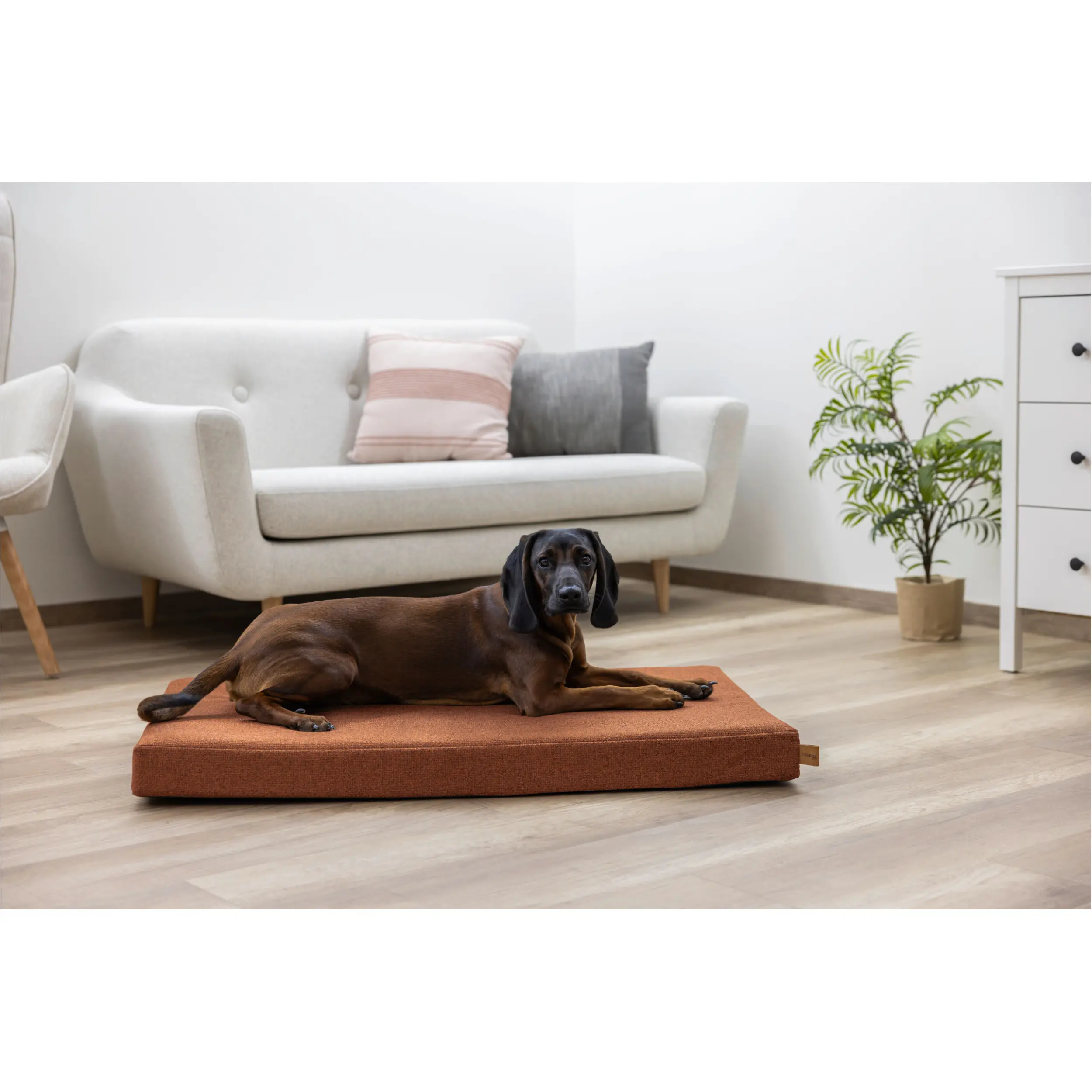 Matratze OLIVER mit Memory Foam rost