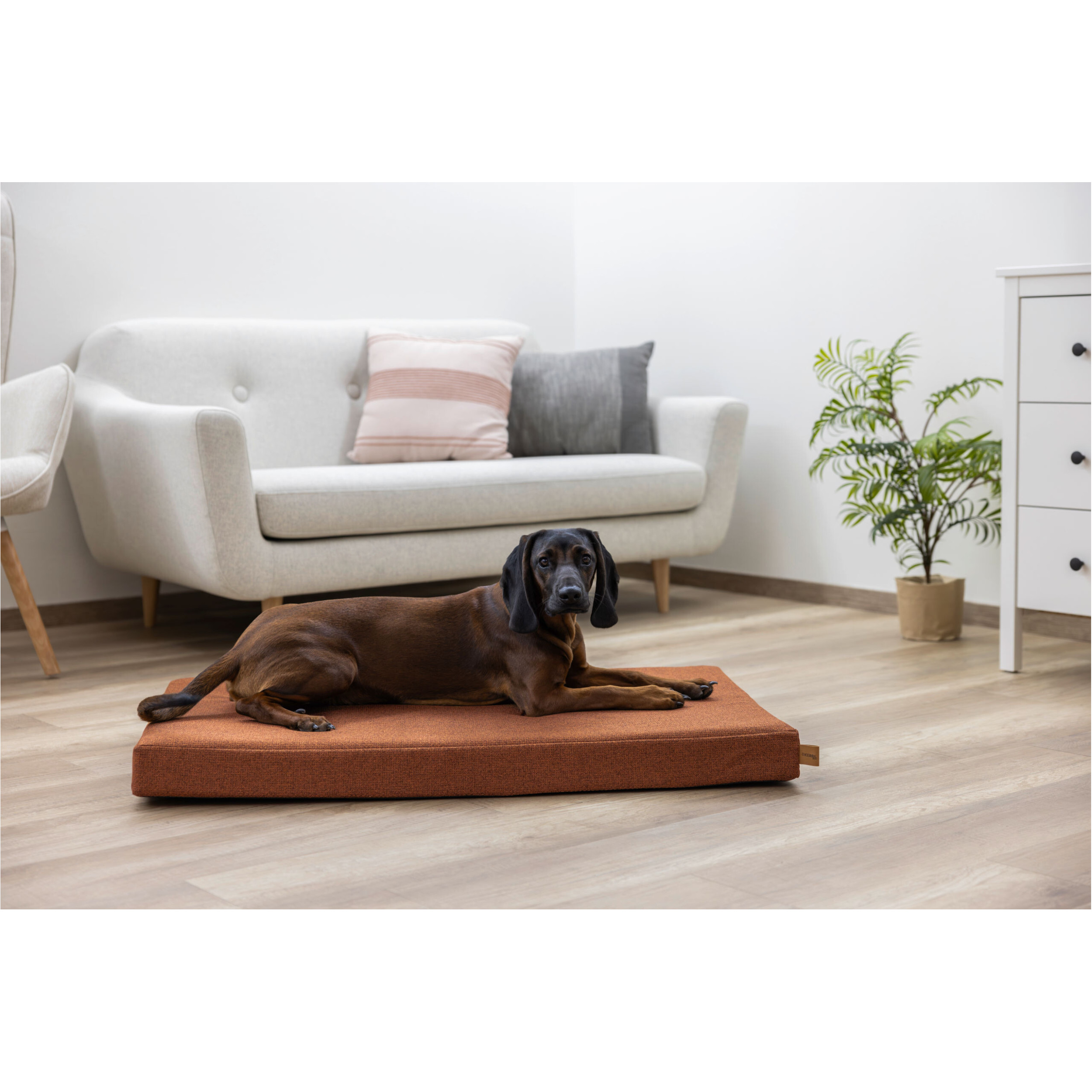 Matratze OLIVER mit Memory Foam rost Matratze OLIVER mit Memory Foam rost