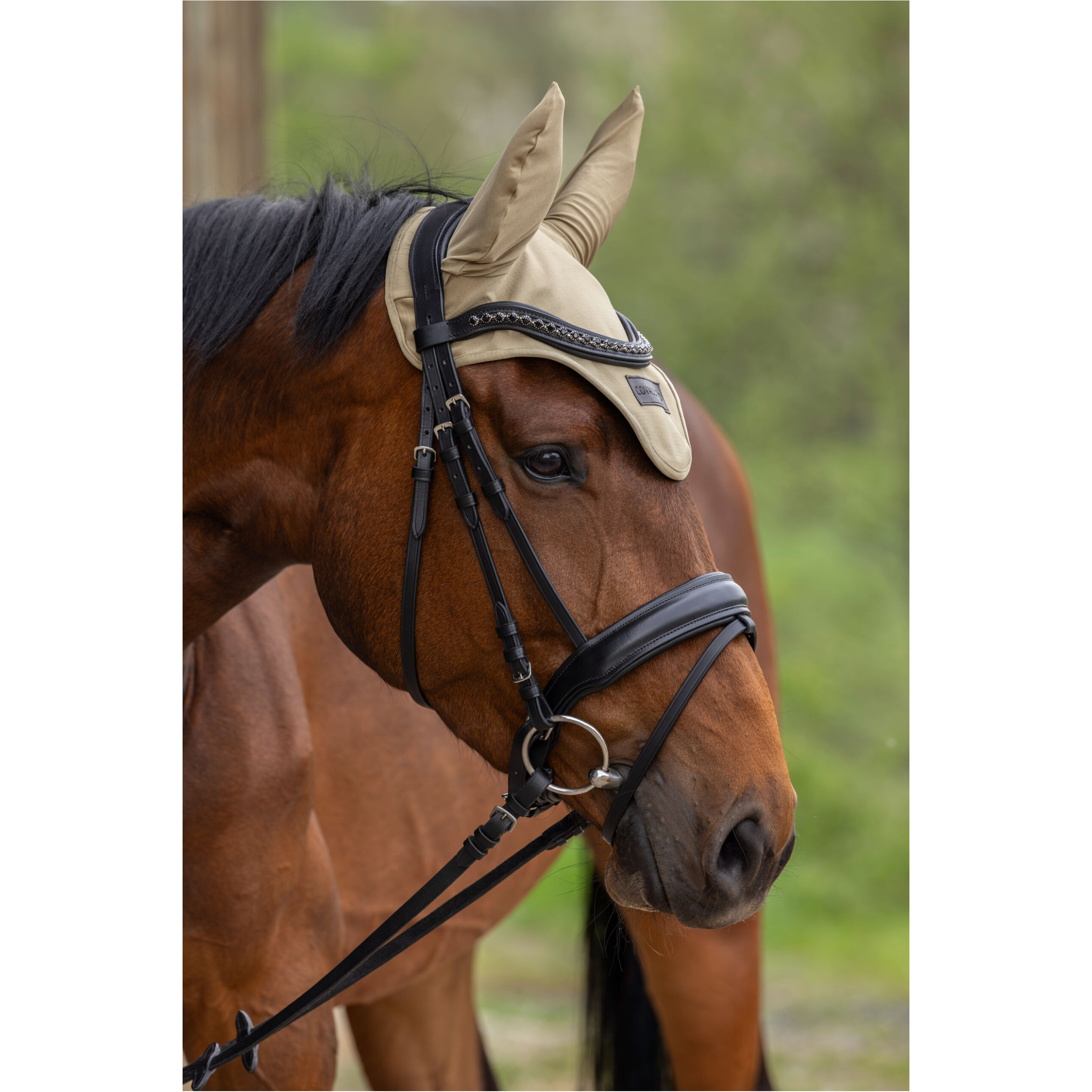 Fliegenhaube F/S 2026 walnut Fliegenhaube F/S 2026 walnut