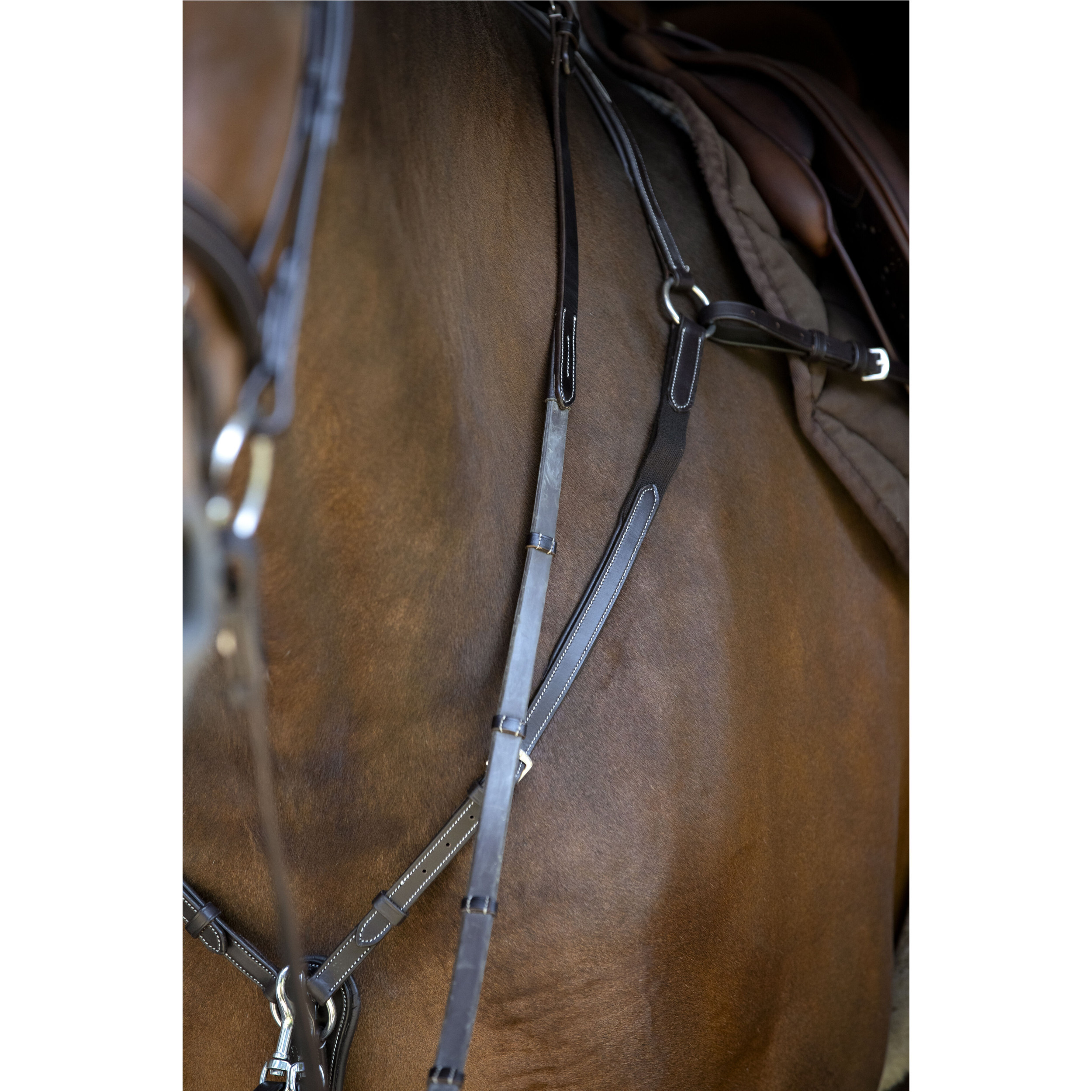 Vorderzeug mit abnehmbarem Martingal braun