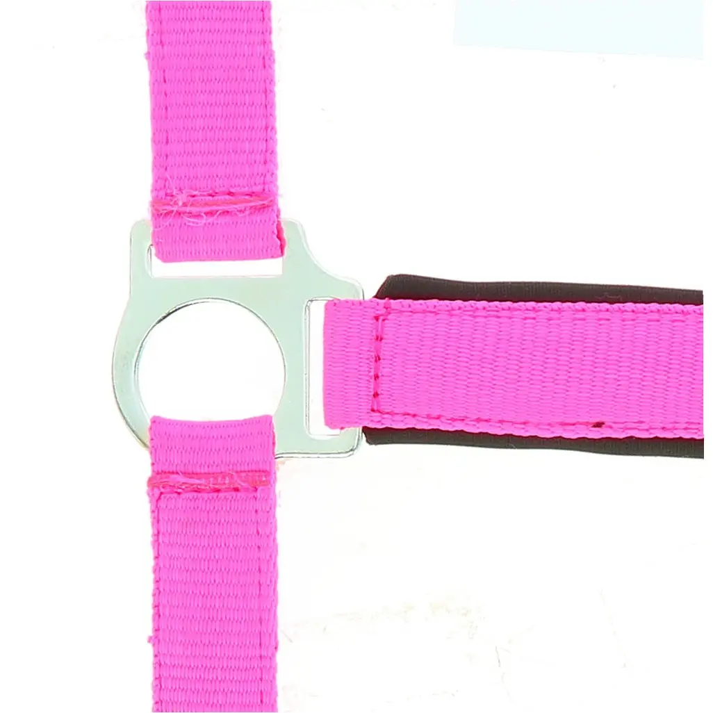 Halfter zweilagig FLUO rosa Halfter zweilagig FLUO rosa