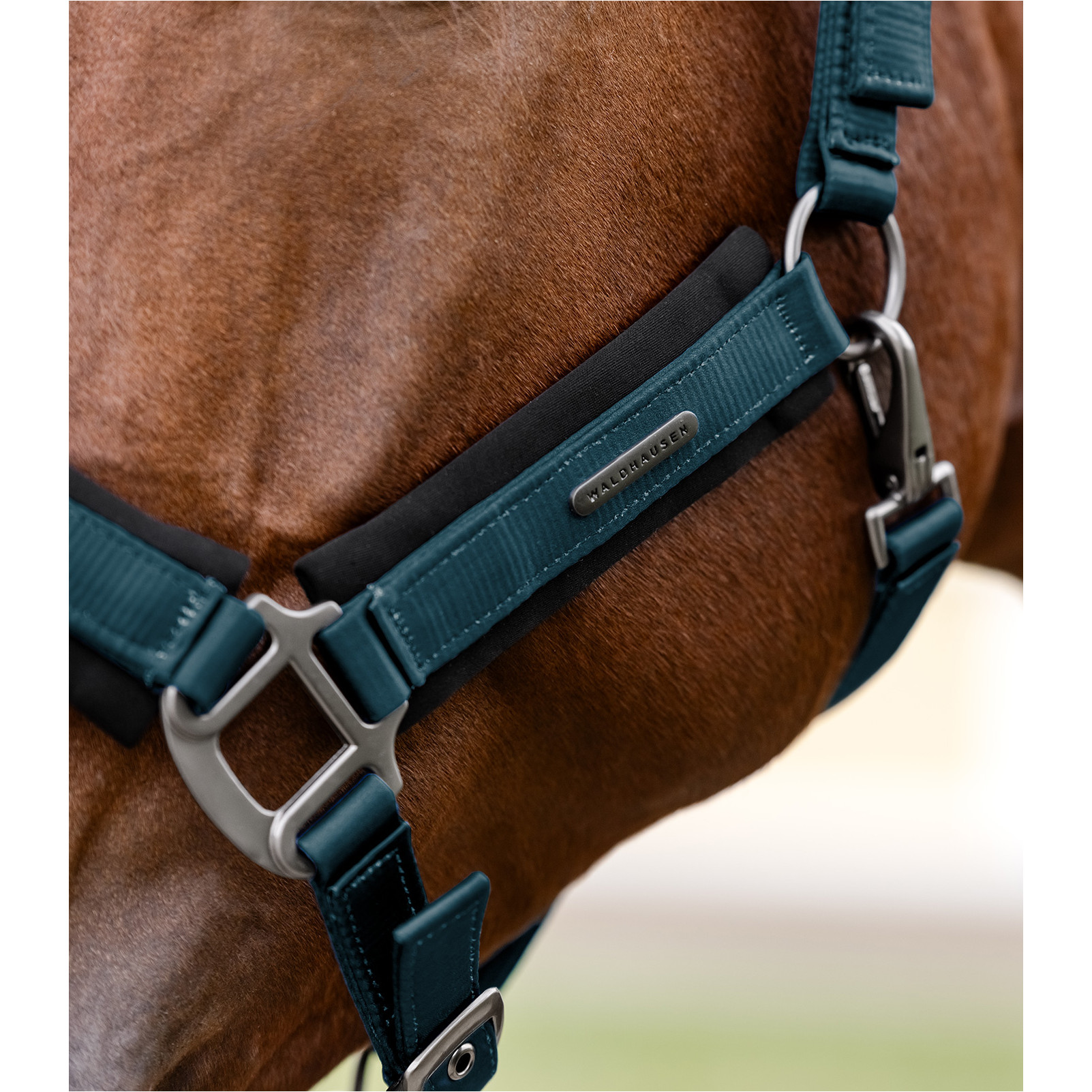 Halfter SOFT TOUCH petrolblau Halfter SOFT TOUCH petrolblau