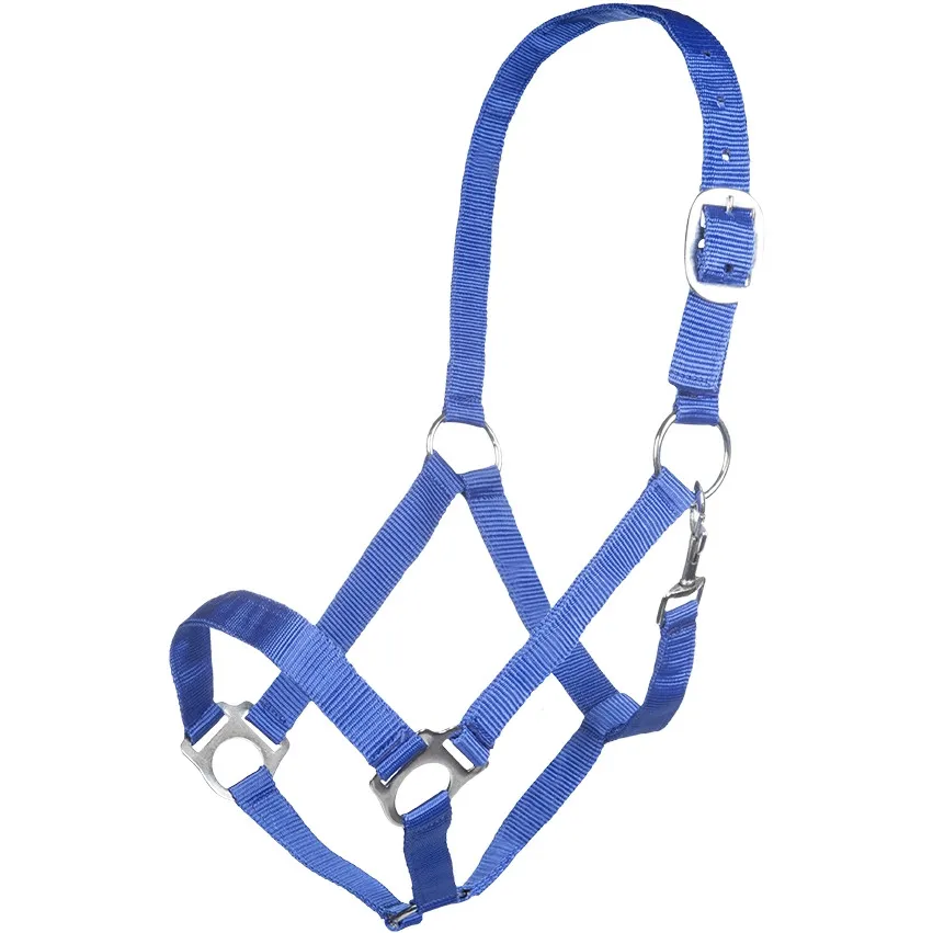 Halfter BRISBANE royalblau