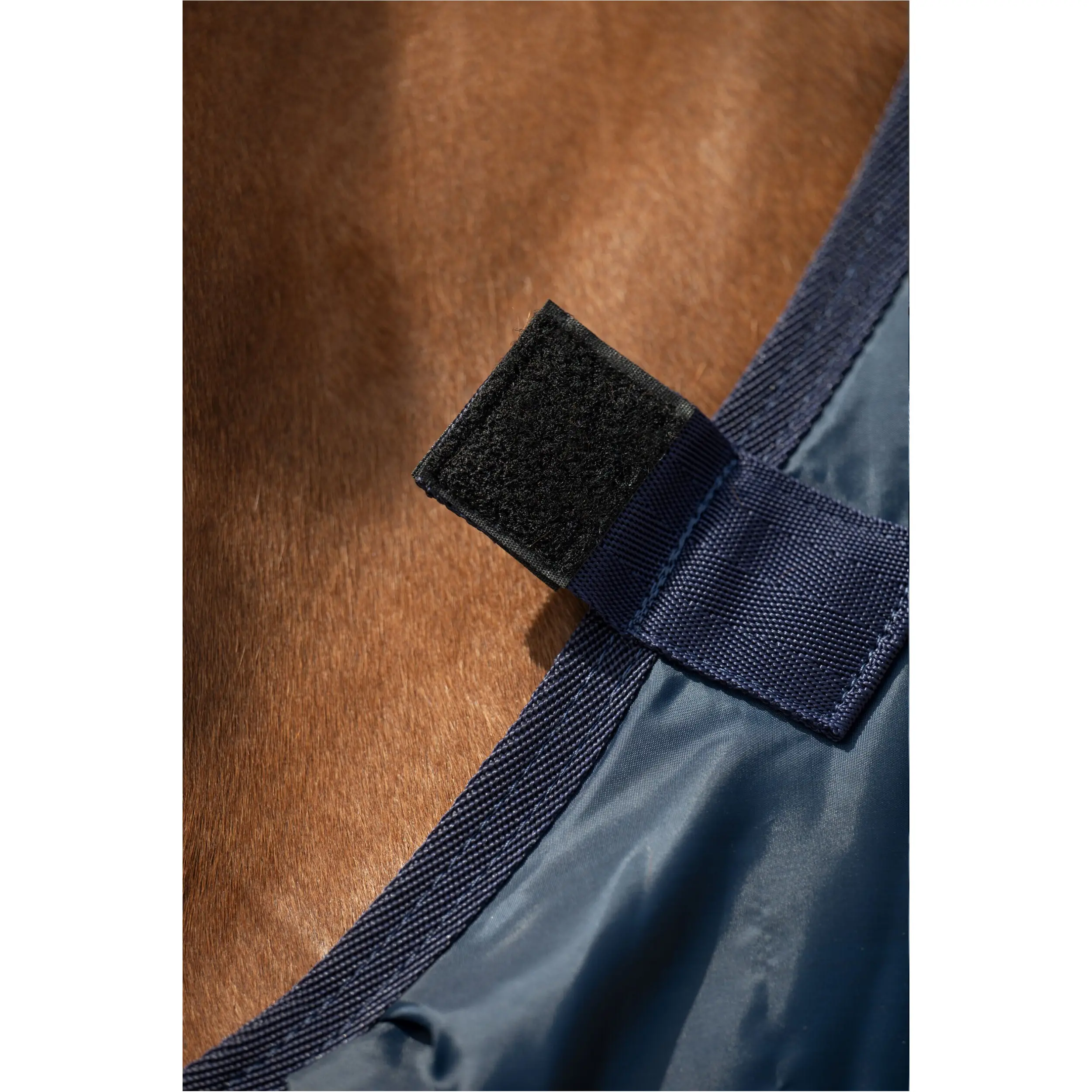 Liner 300g Füllung für Weidedecke KOMBI 2 dunkelblau