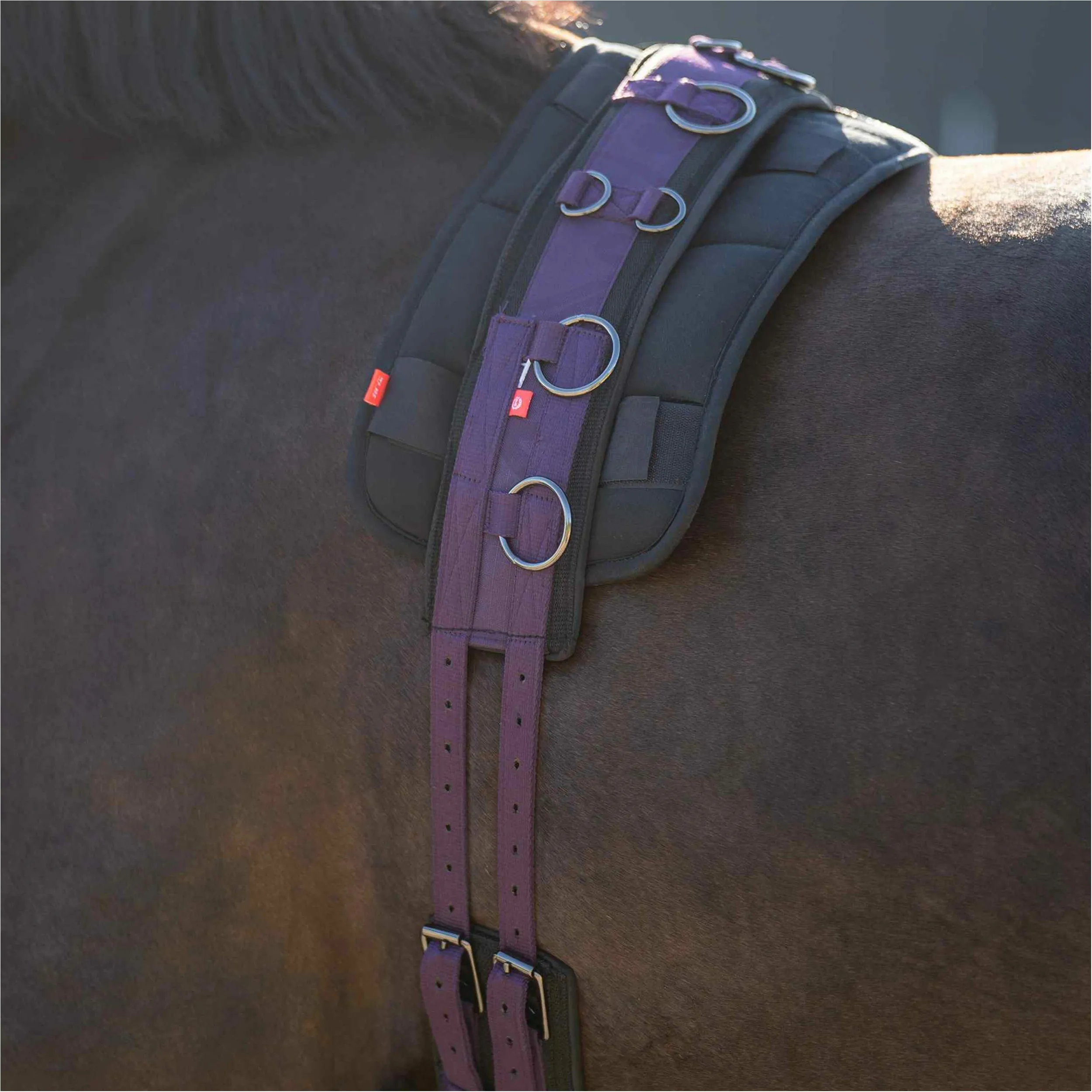 Longiergurt Nylon IRHDeluxe Extra black berry