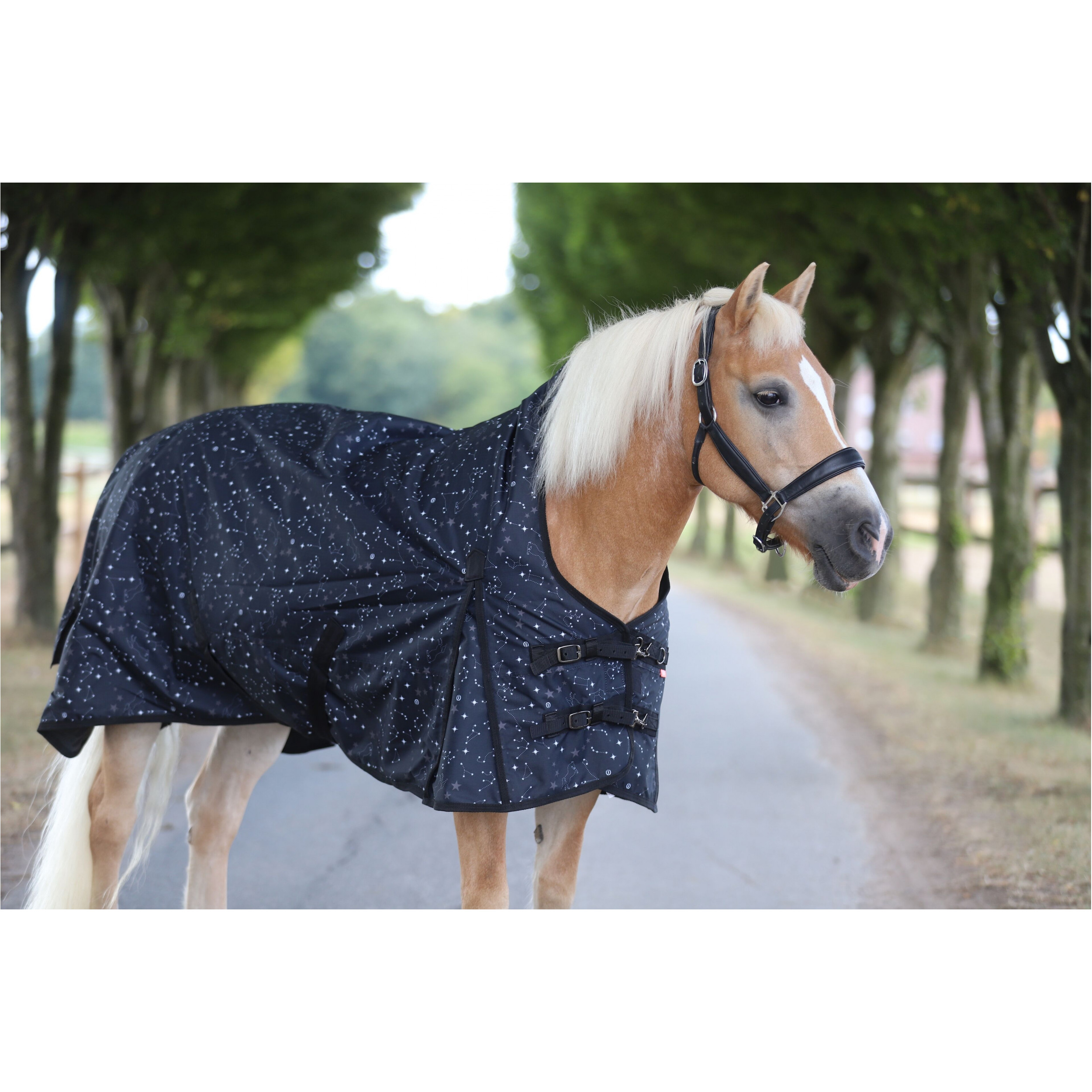 Outdoordecke 600D IRHSuper-dry STARDUST black