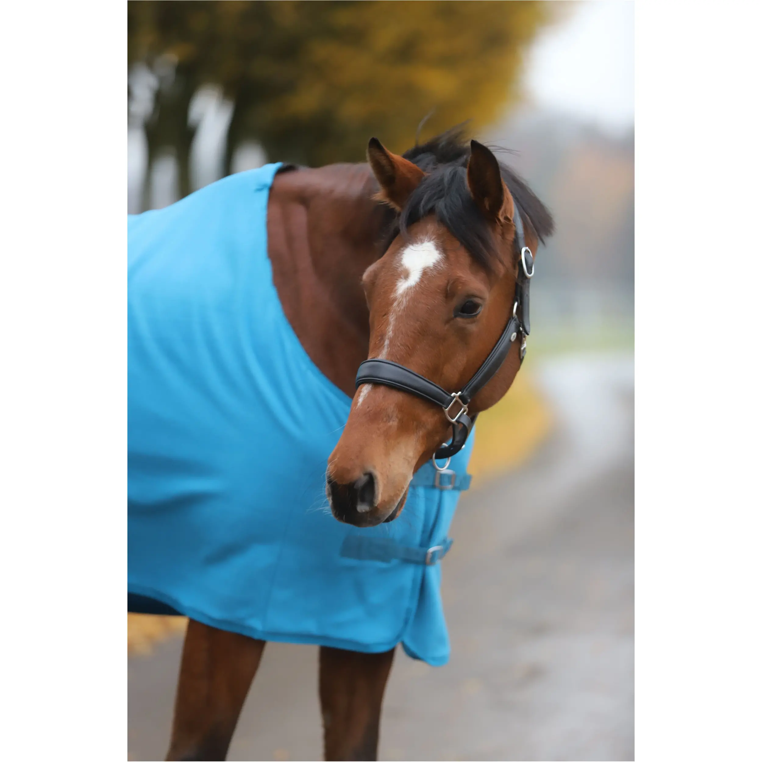 Abschwitzdecke BASICLINE petrol