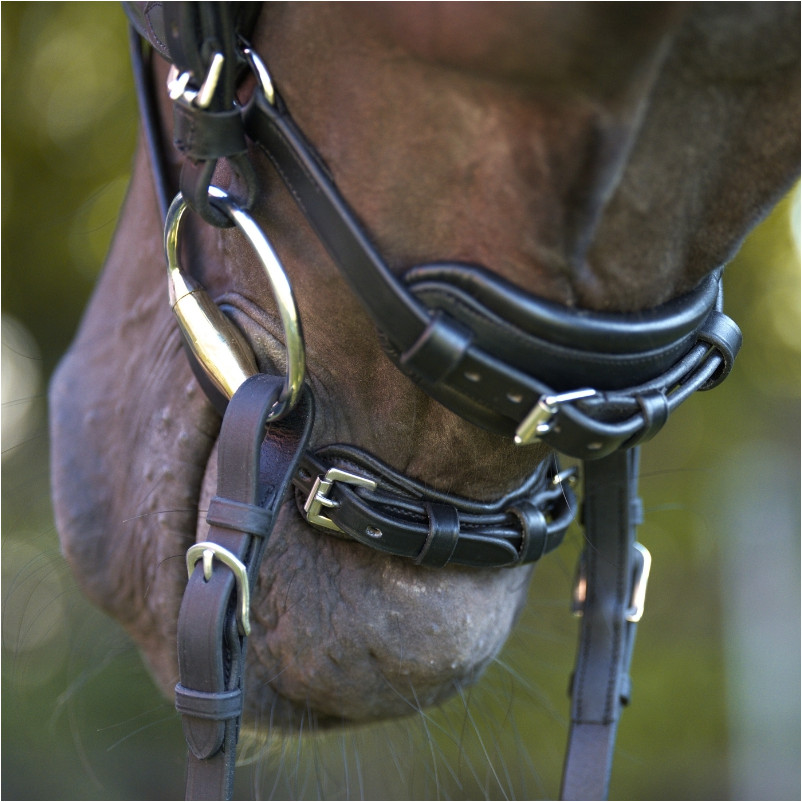 Trensenzaum englisch kombiniert CALLA schwarz