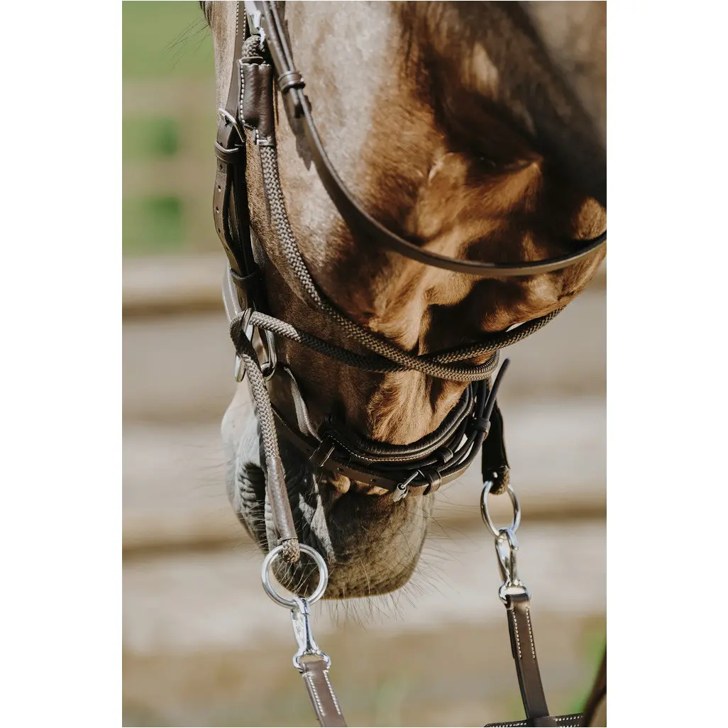 Trensenzaum und Gurtzügel BITLESS Echtleder havana Trensenzaum und Gurtzügel BITLESS Echtleder havana