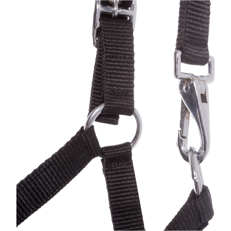 Fohlenhalfter schwarz Fohlenhalfter schwarz