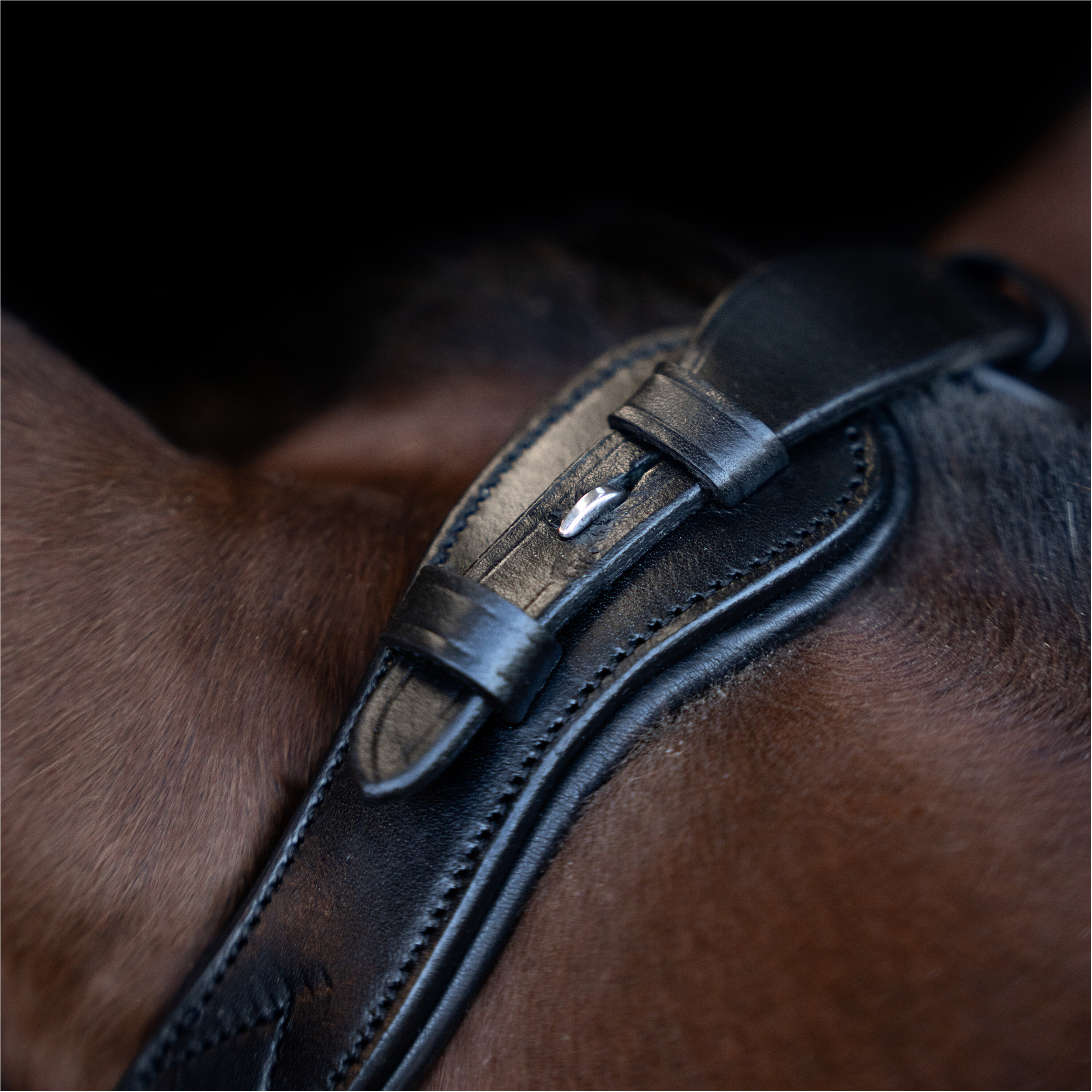 Trensenzaum IRH mit ergonomischem Nasenriemen schwarz